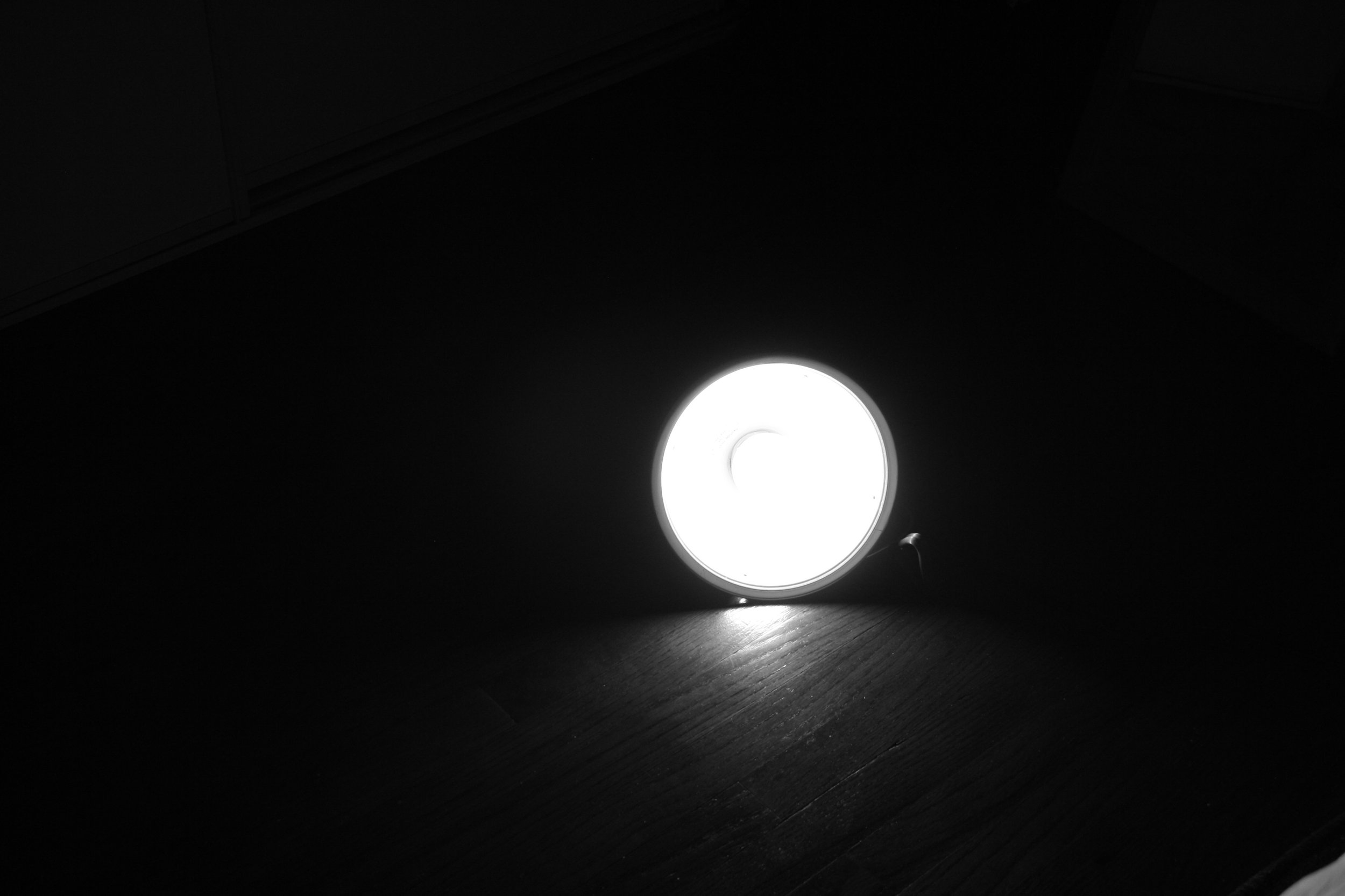 IMG_4884.jpeg
