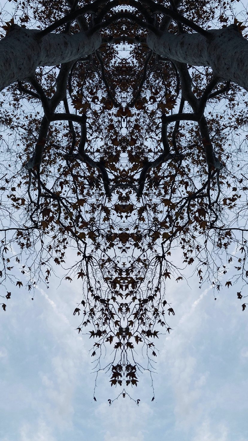 5519BA80-D8BB-4967-BE4A-AA5BDE164F34.jpeg