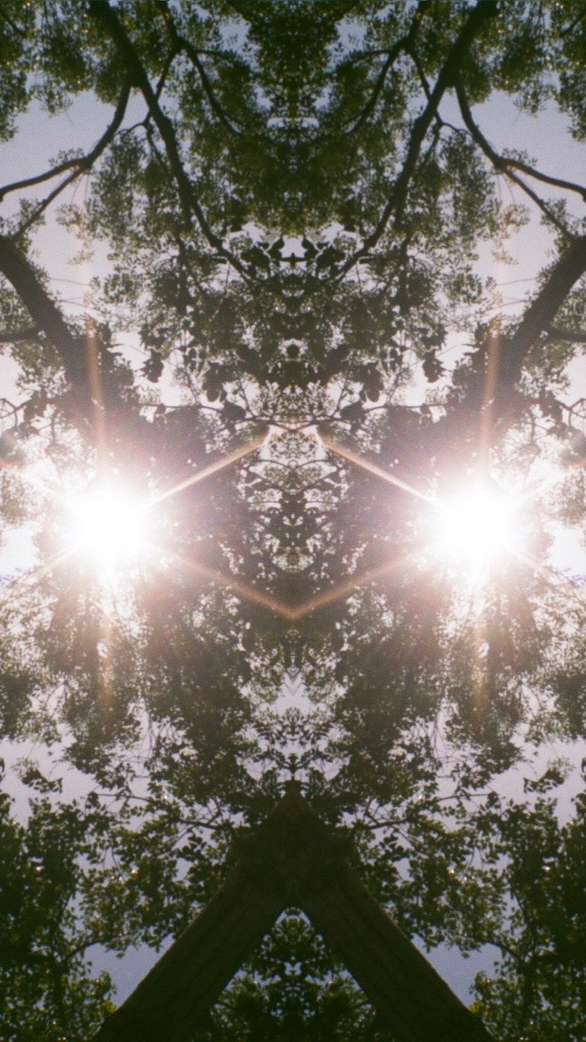 251291A9-6380-4F27-8C05-979E484F1BF4.jpeg