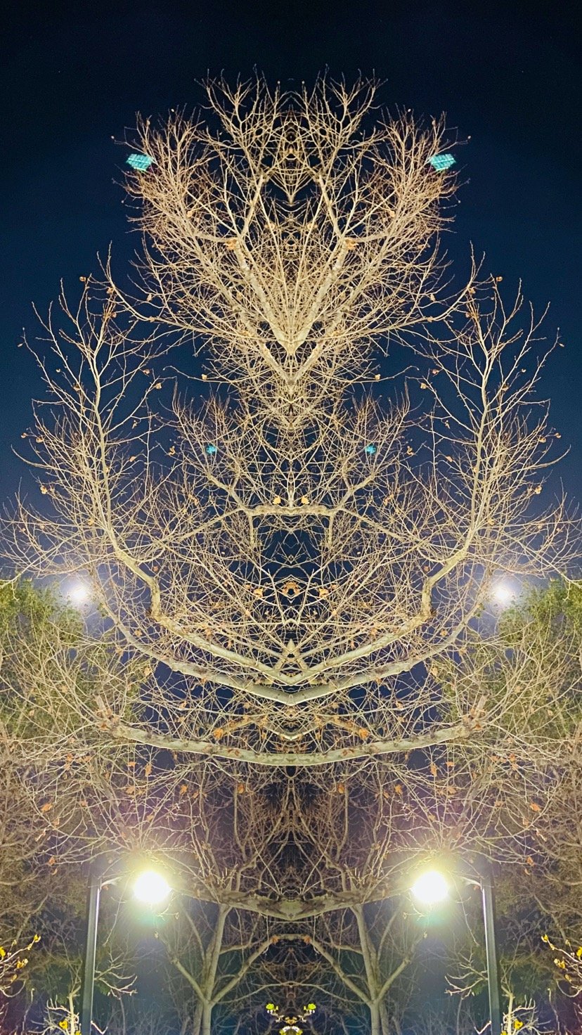 666930C7-CB1D-43E4-B536-AA04B0F99BF2.jpeg