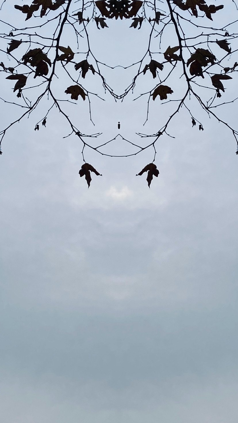 D733F775-6F69-4996-8CB1-00C4AA0C3D4F.jpeg