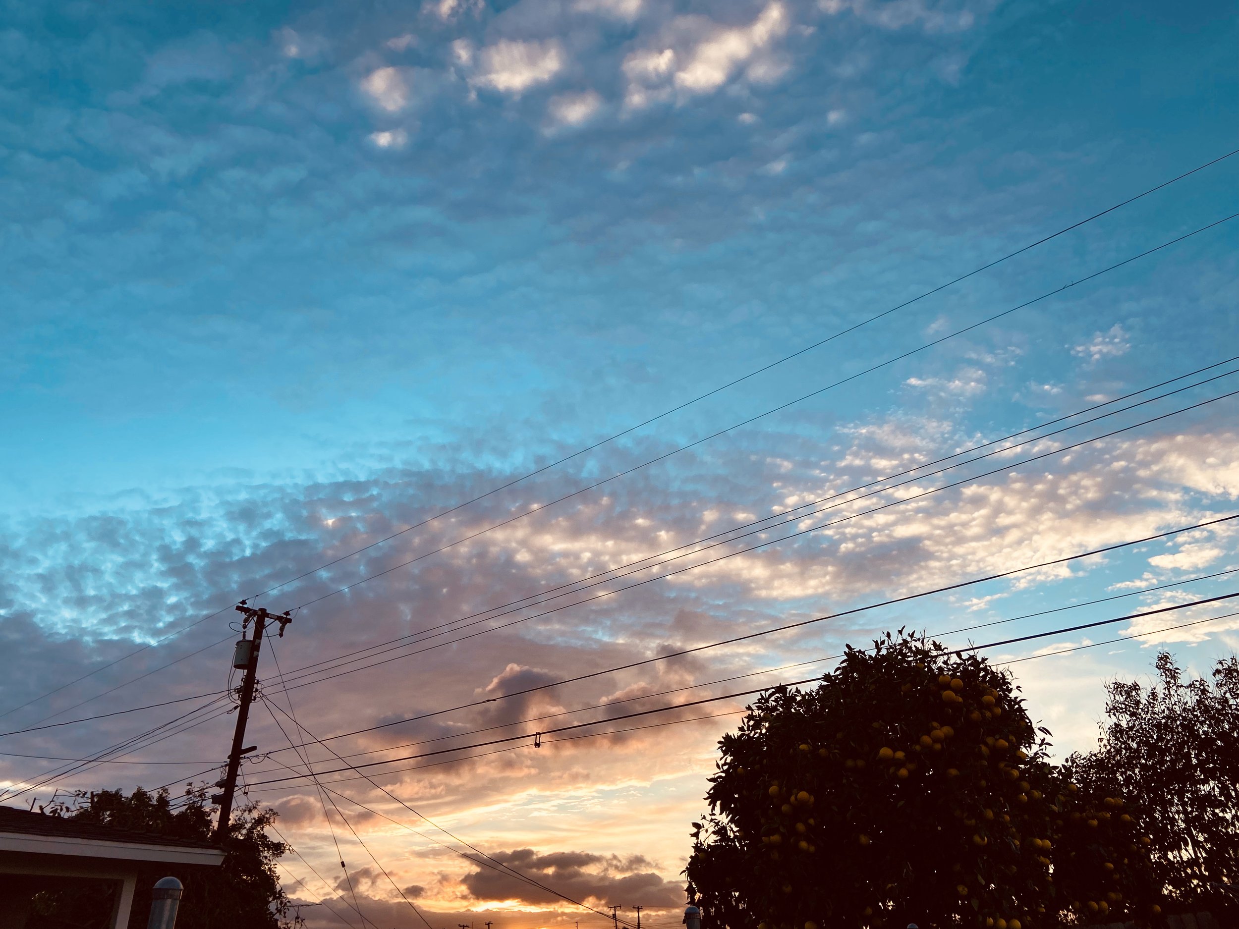 IMG_3697.jpeg
