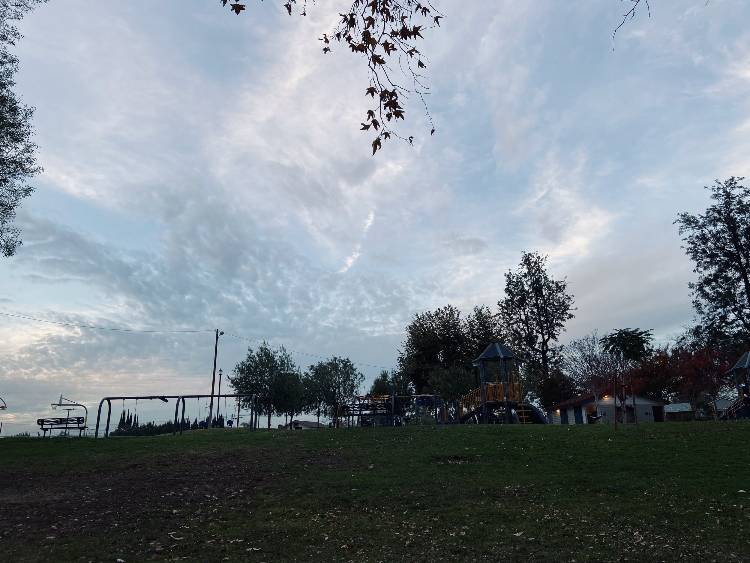 IMG_3754.jpeg