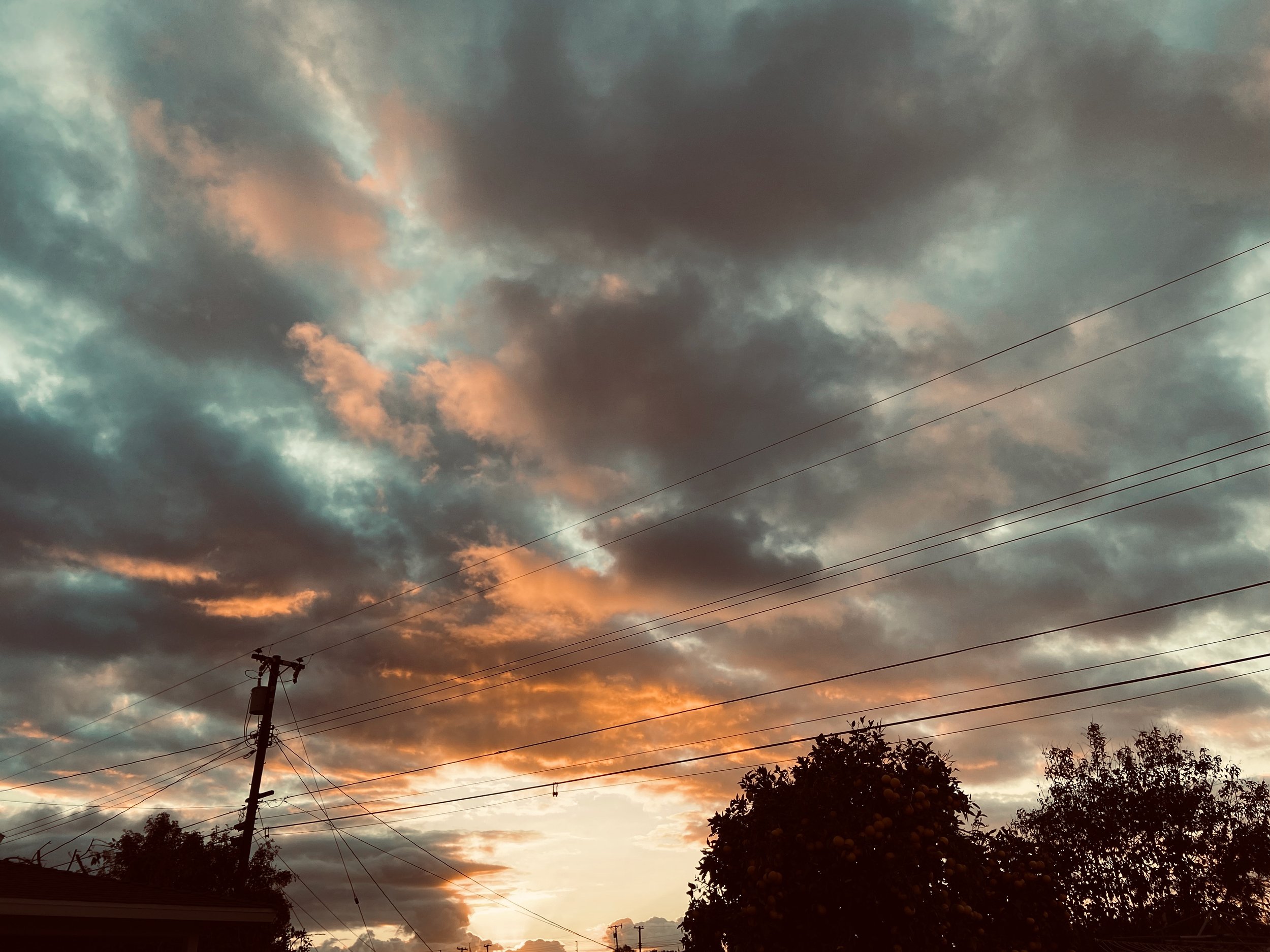 IMG_3809.jpeg