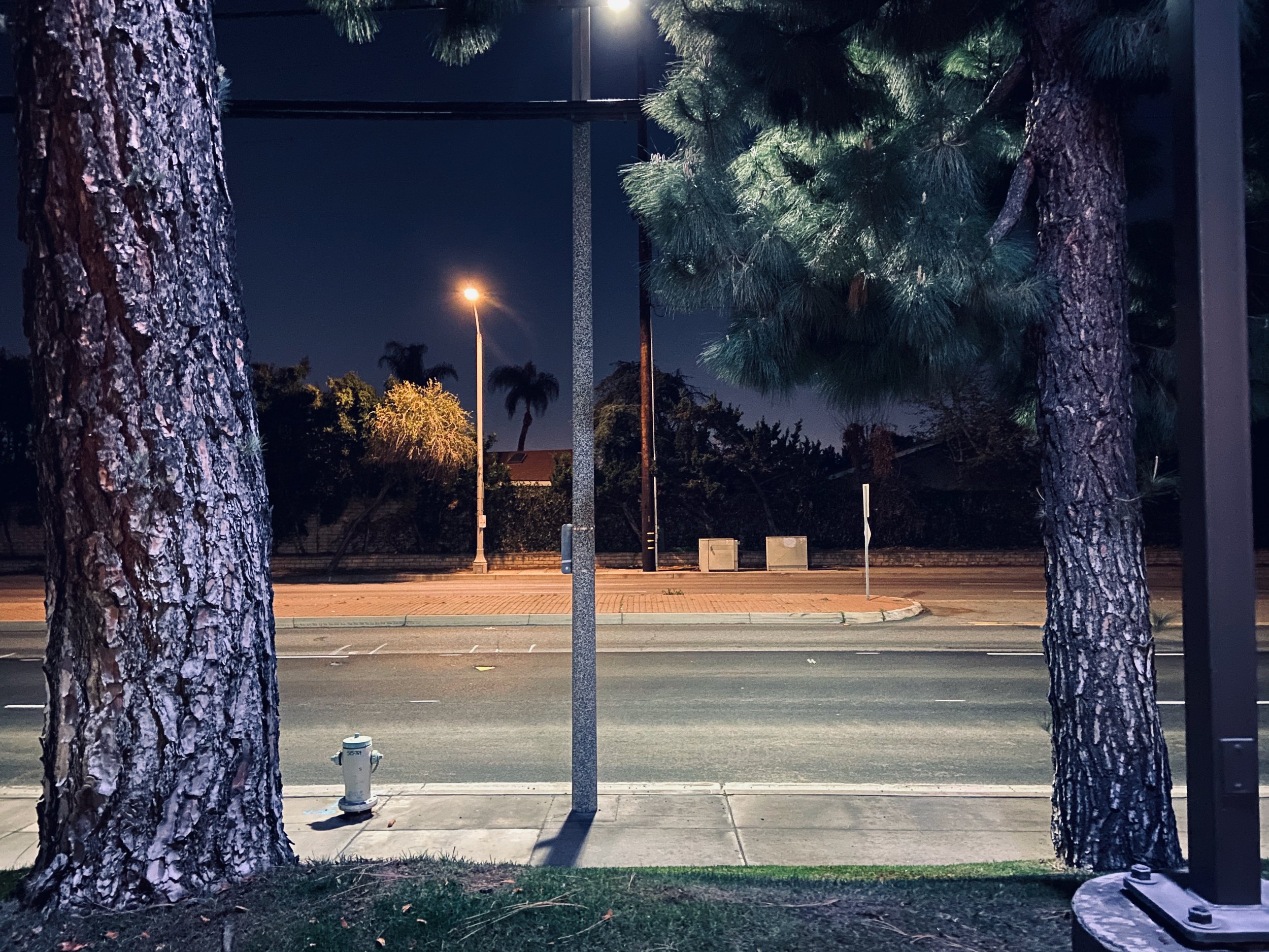 IMG_1086.jpeg