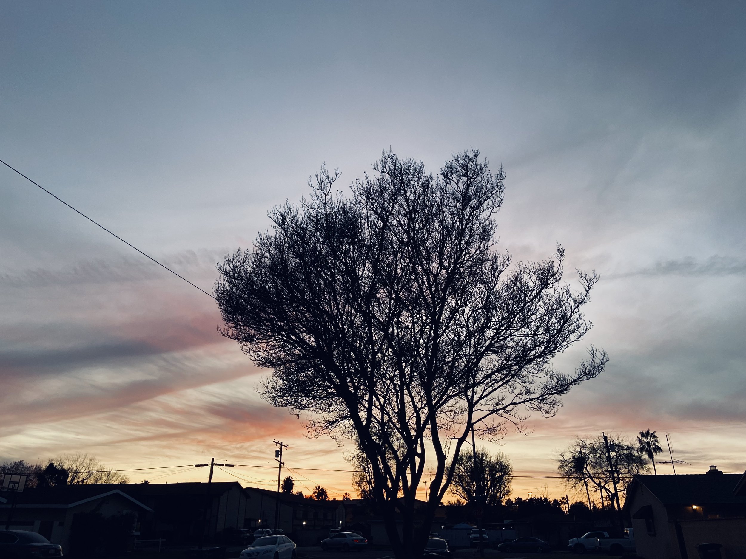 IMG_6614.jpeg