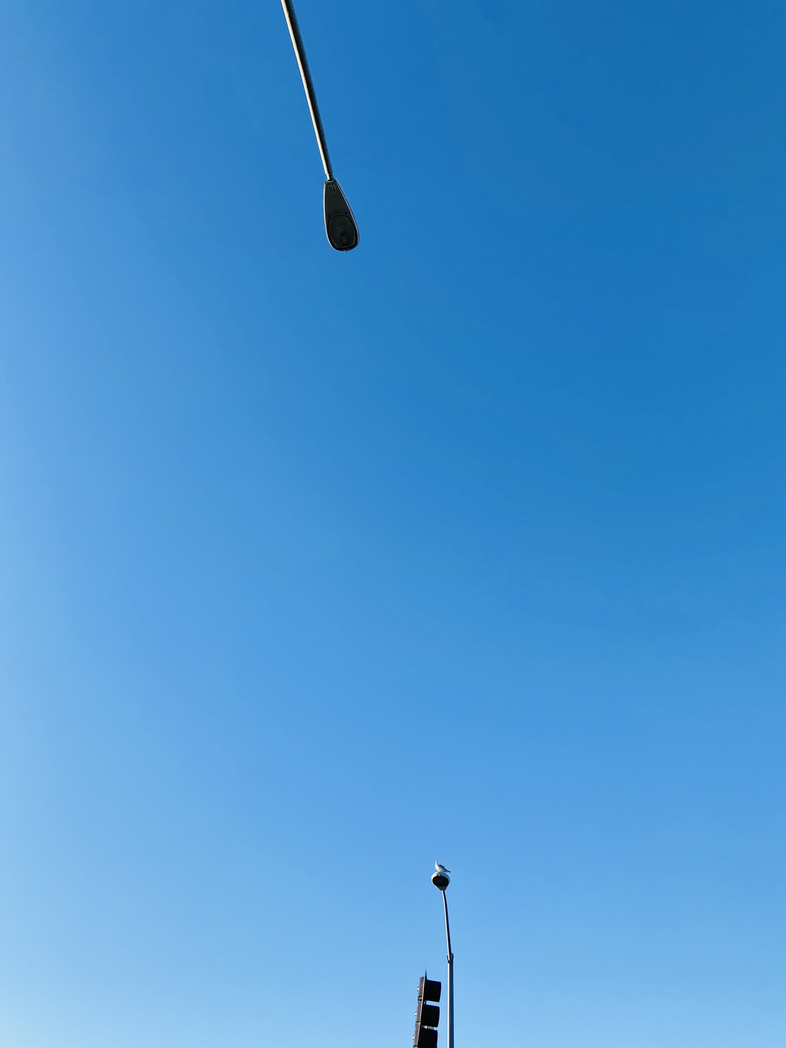 IMG_6633.jpeg