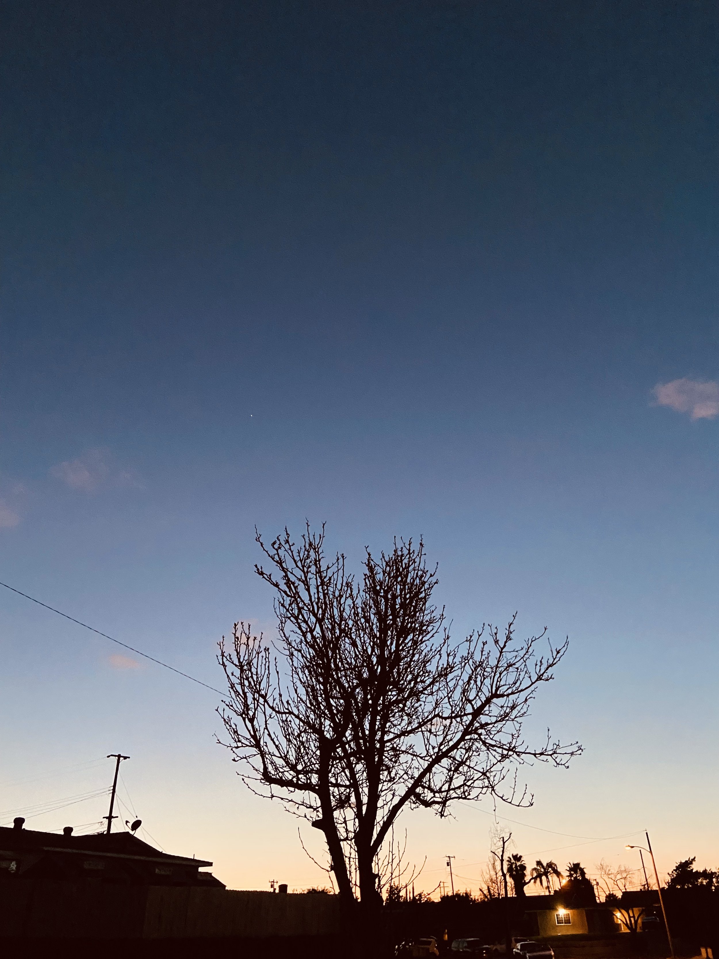 IMG_6658.jpeg