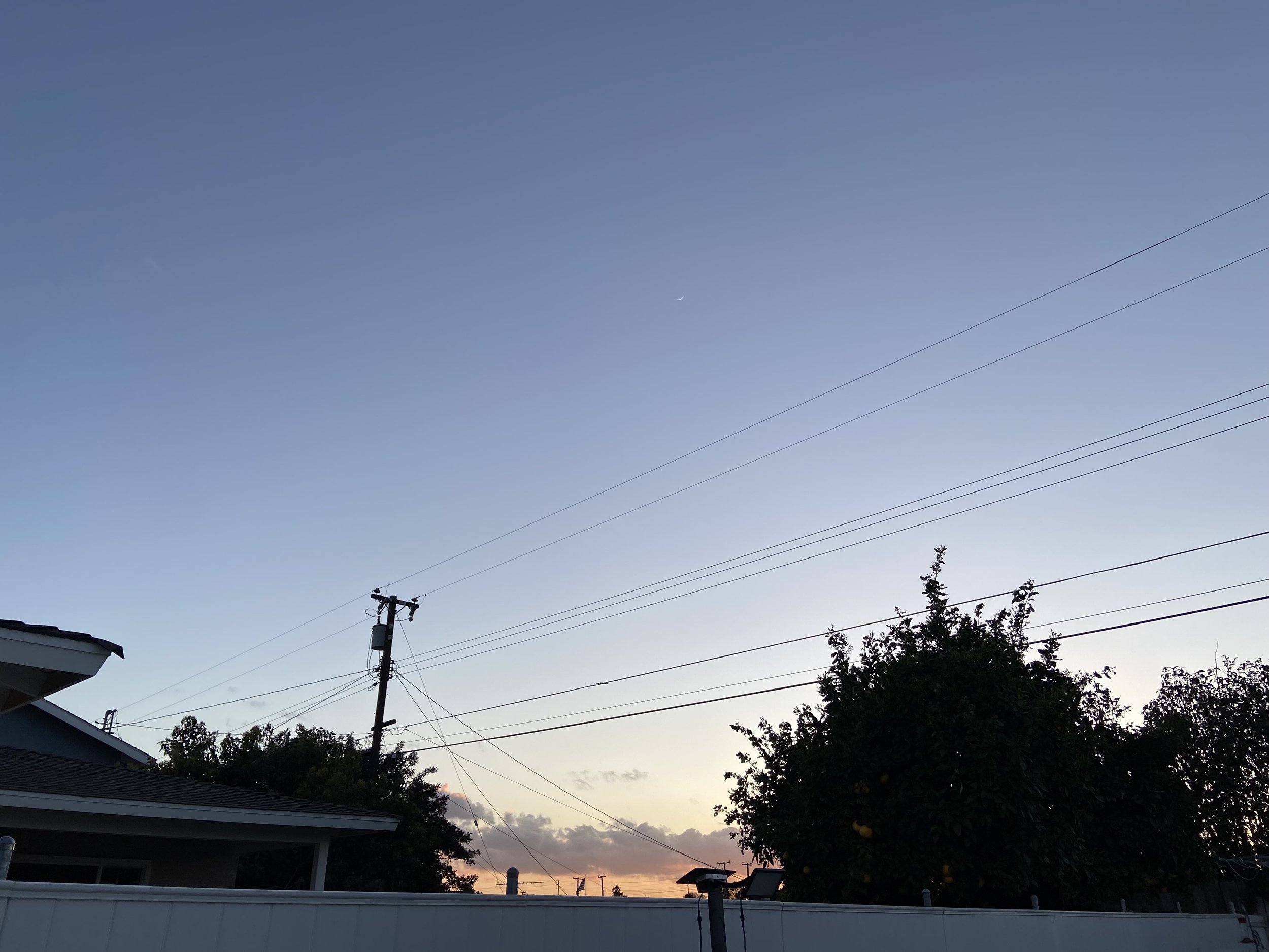 IMG_6718.jpeg