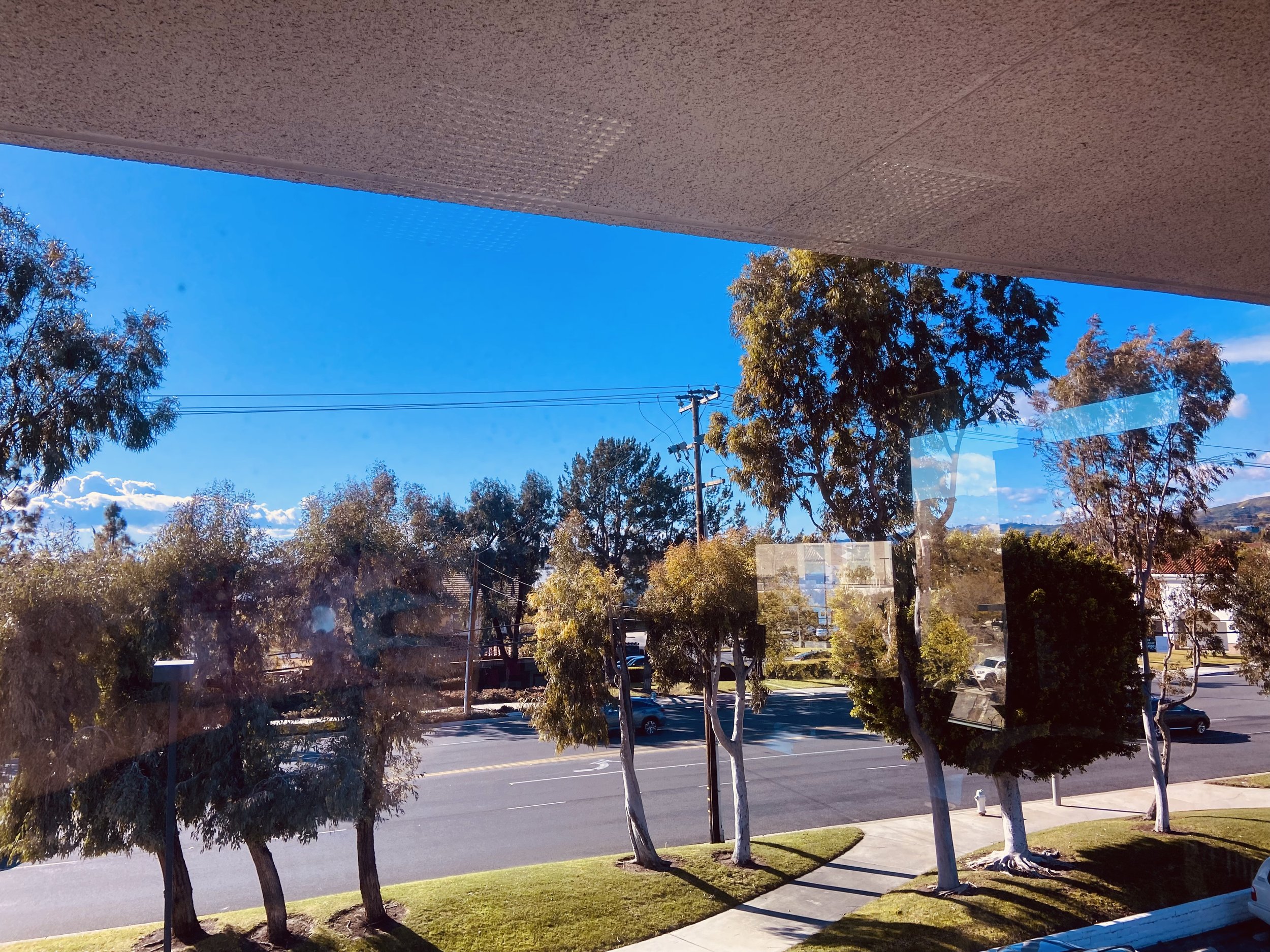 IMG_6802.jpeg