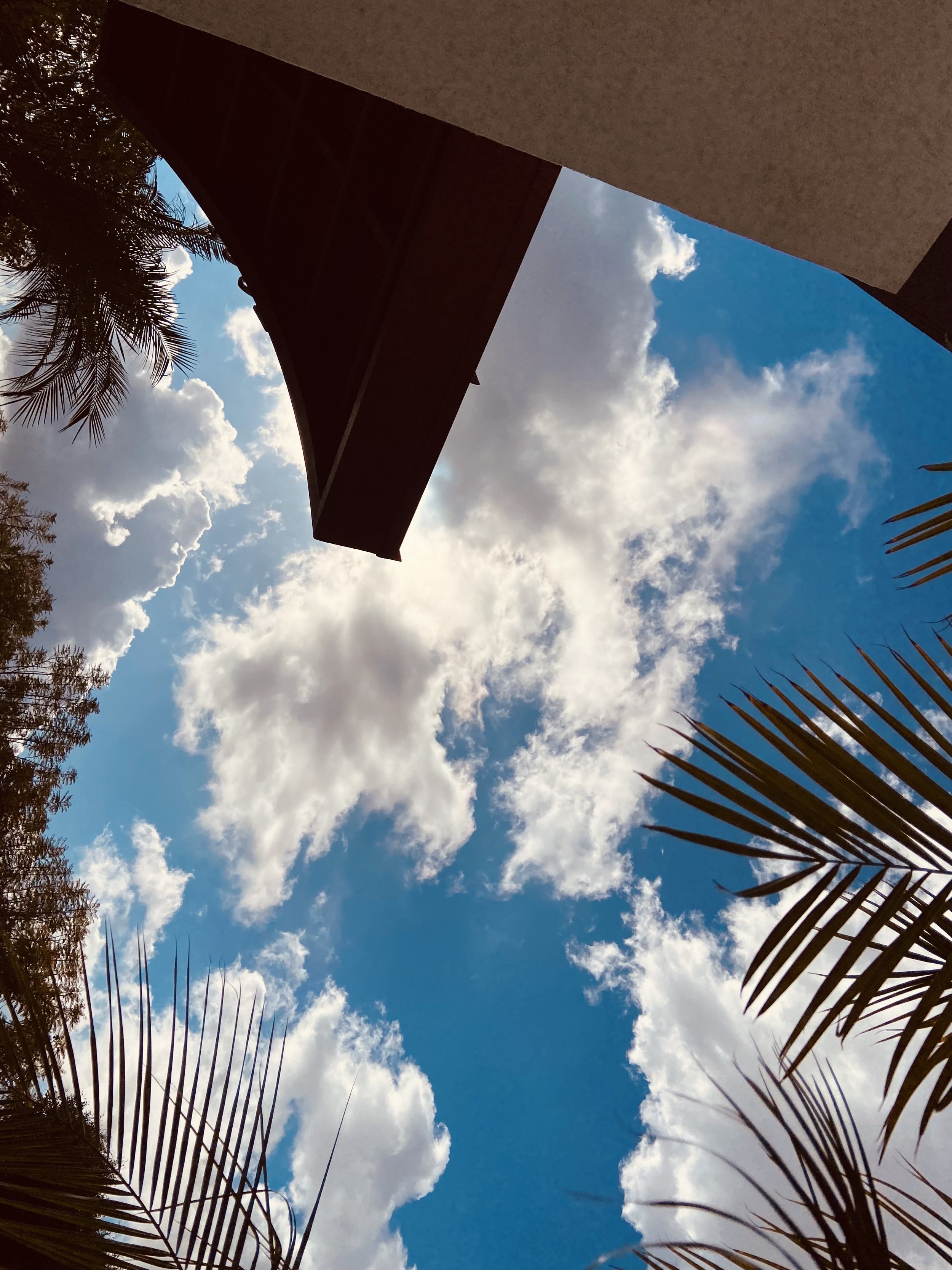 IMG_6823.jpeg