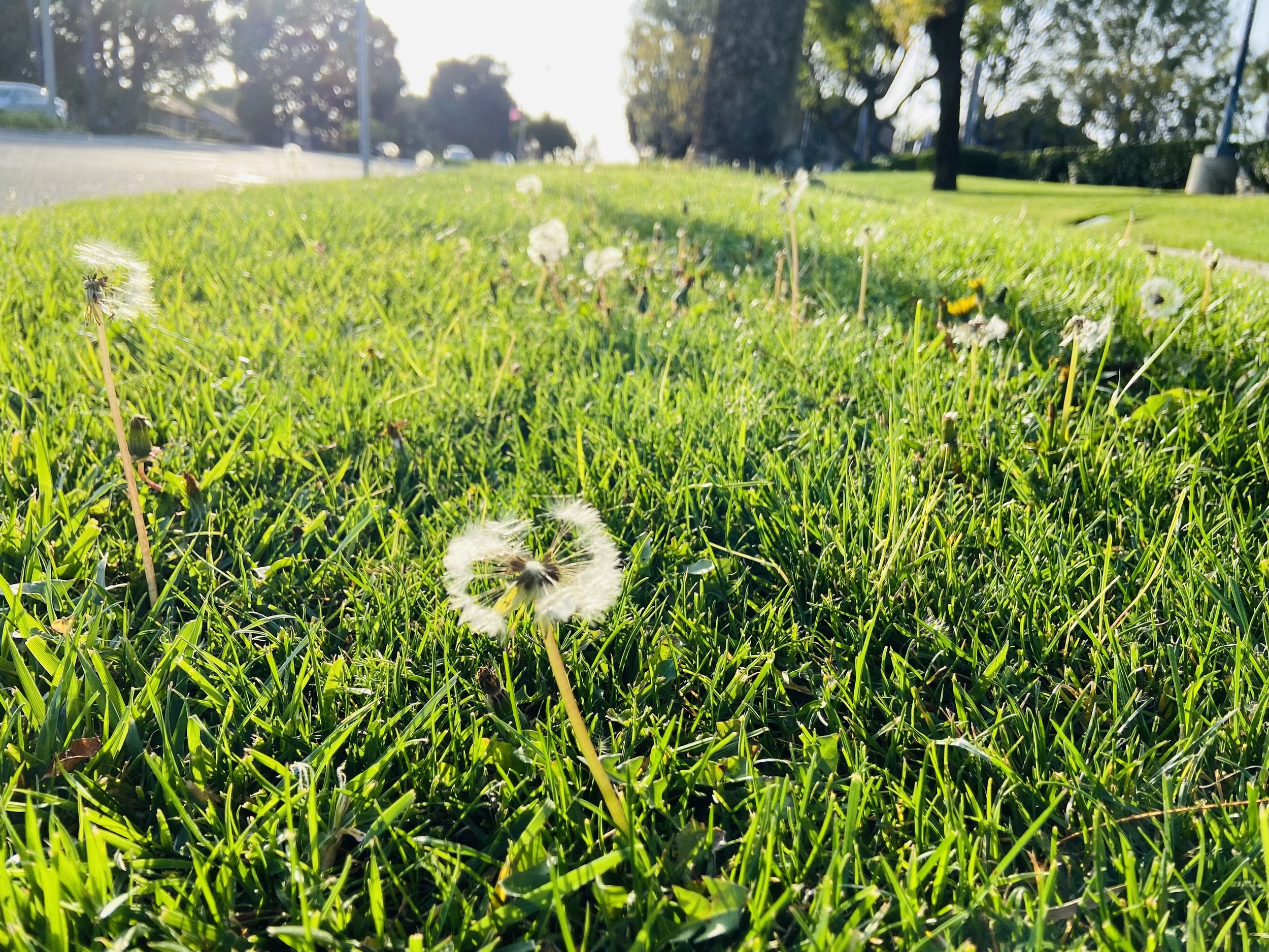 IMG_6858.jpeg