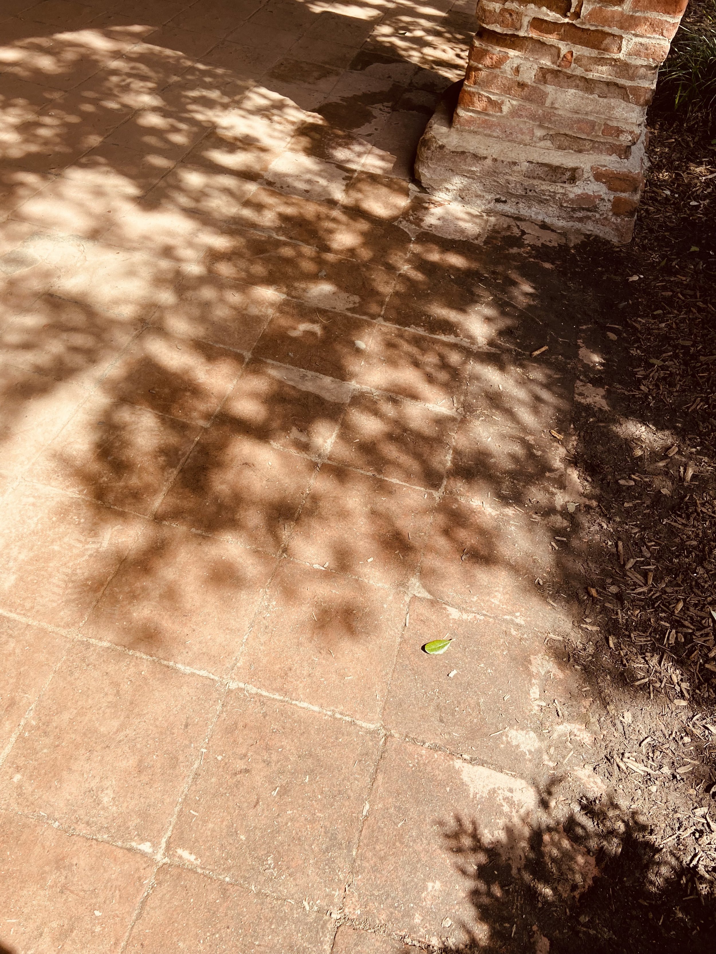 IMG_6978.jpeg