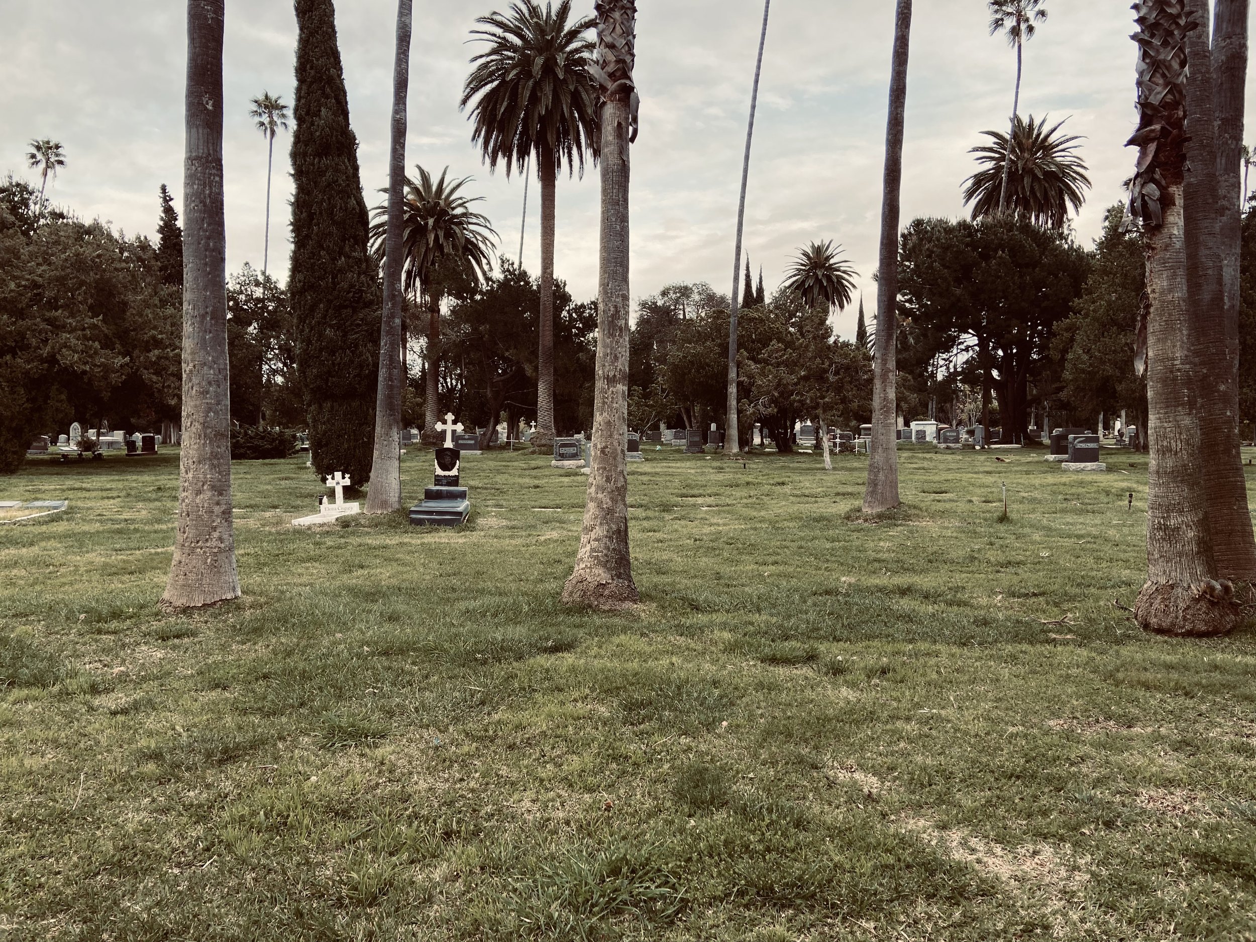 IMG_7038.jpeg