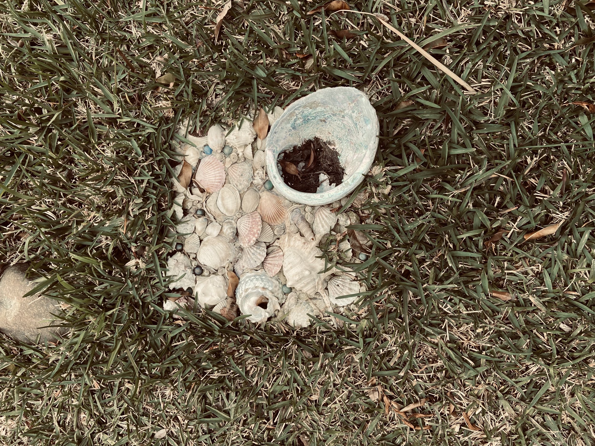 IMG_7053.jpeg