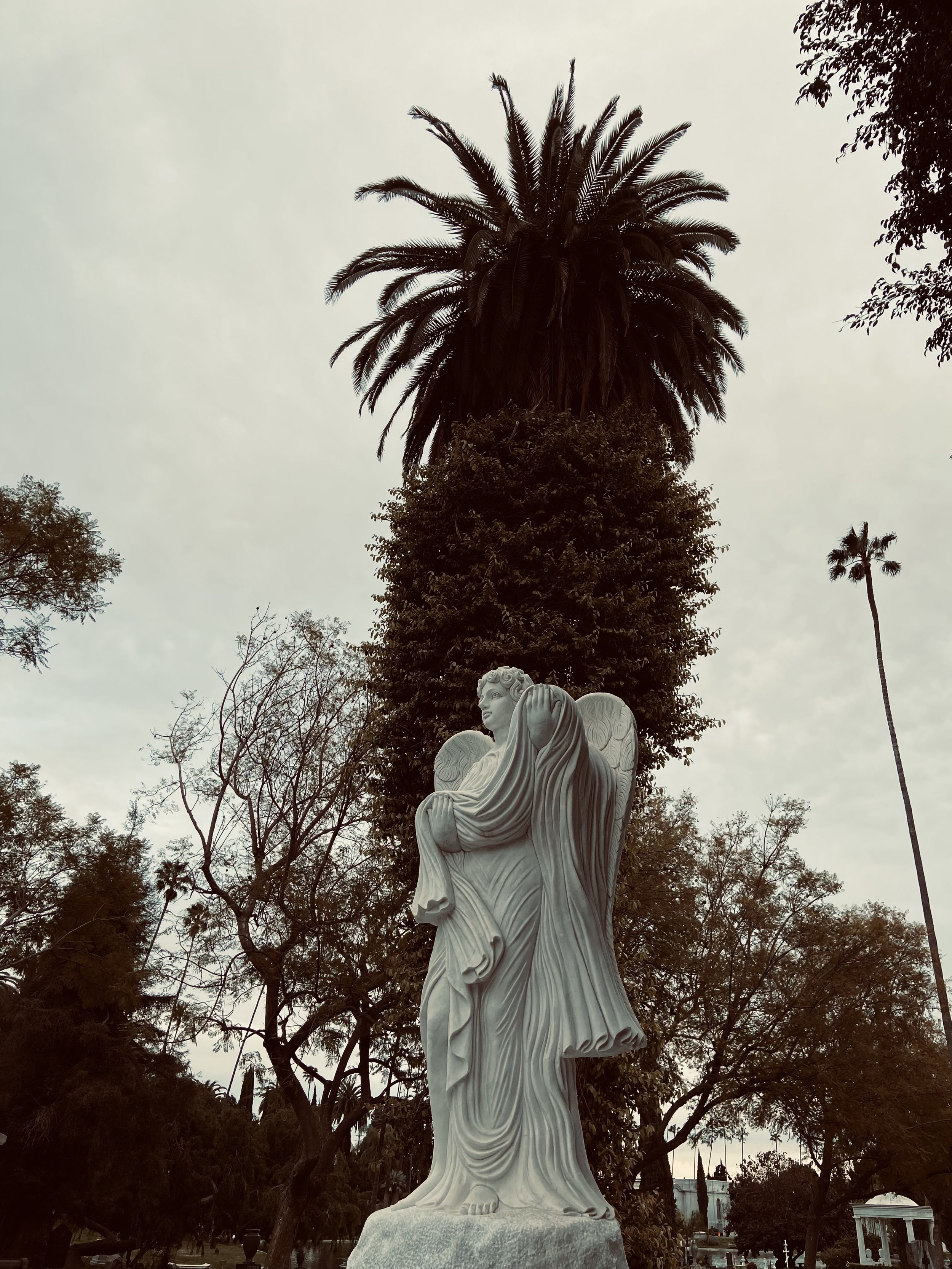 IMG_7056.jpeg