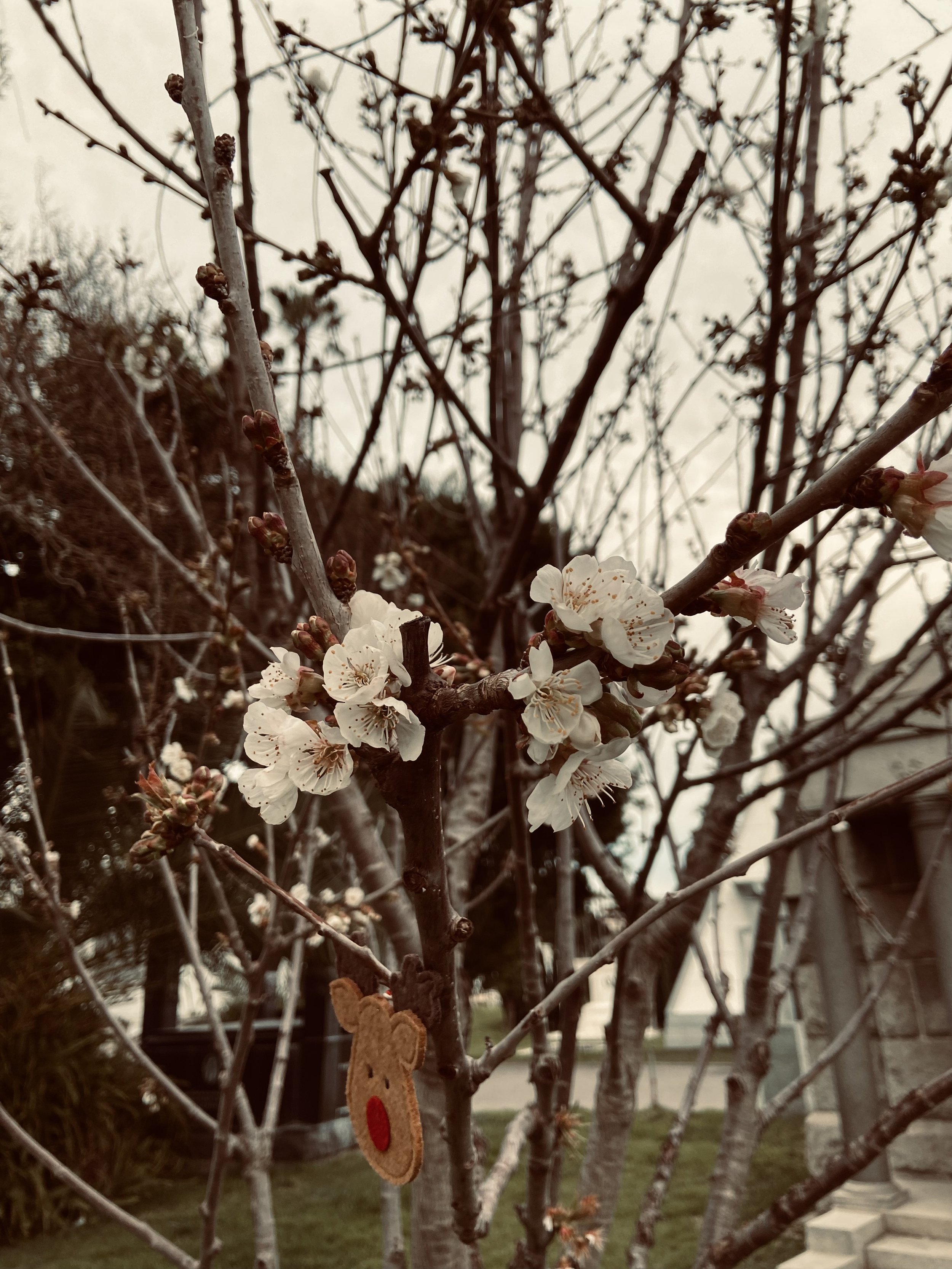 IMG_7067.jpeg