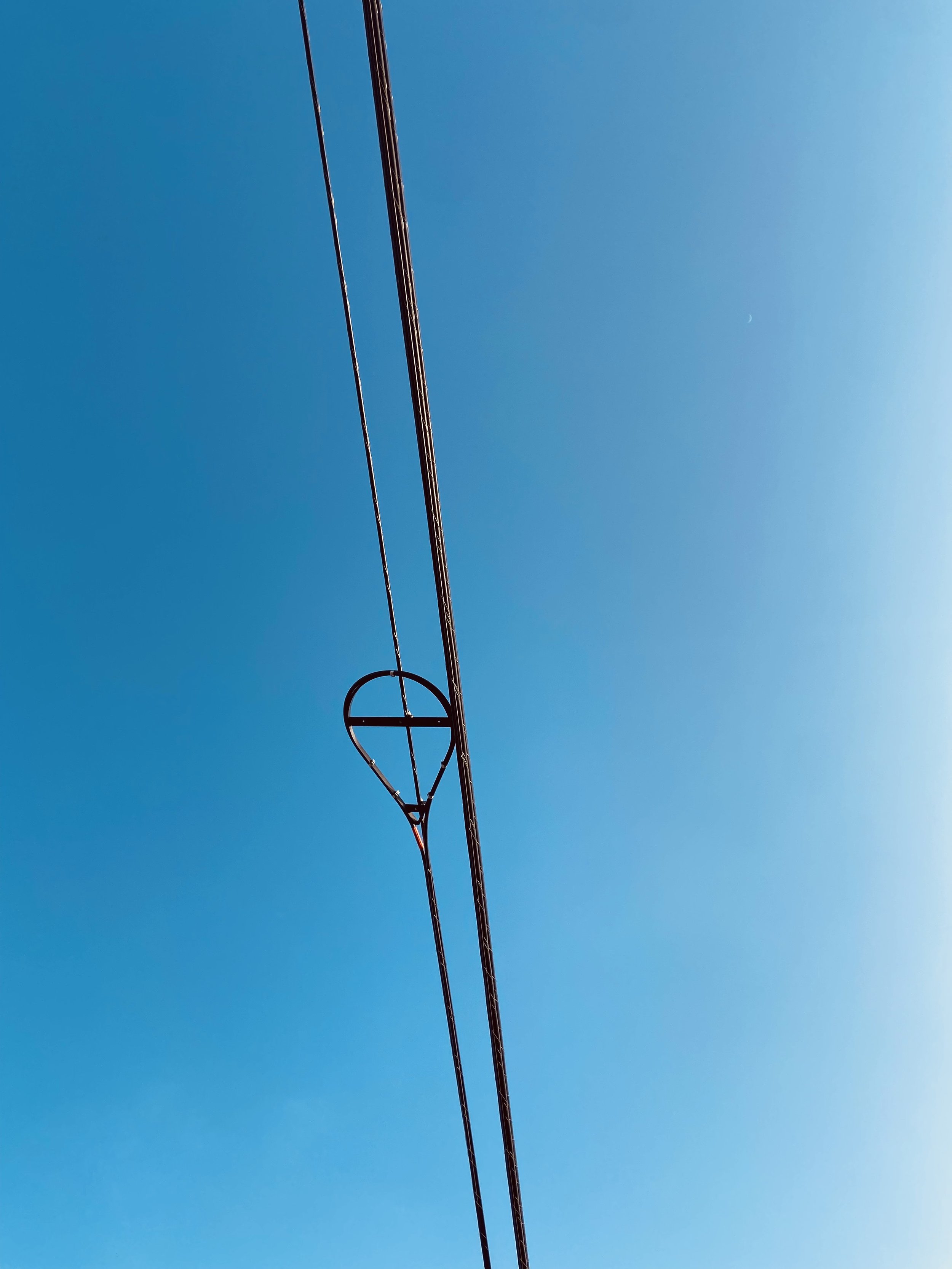 IMG_7228.jpeg