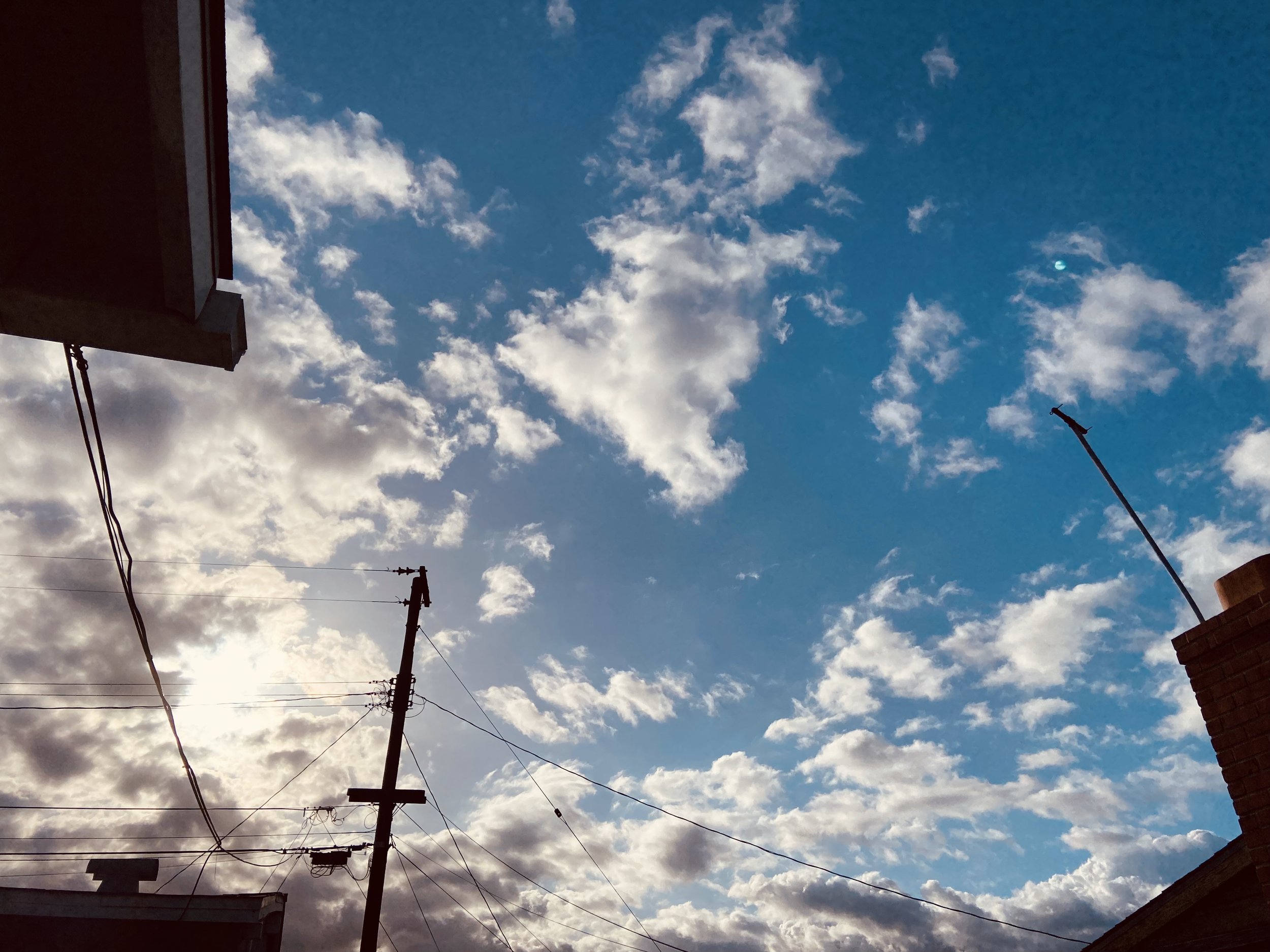 IMG_7254.jpeg