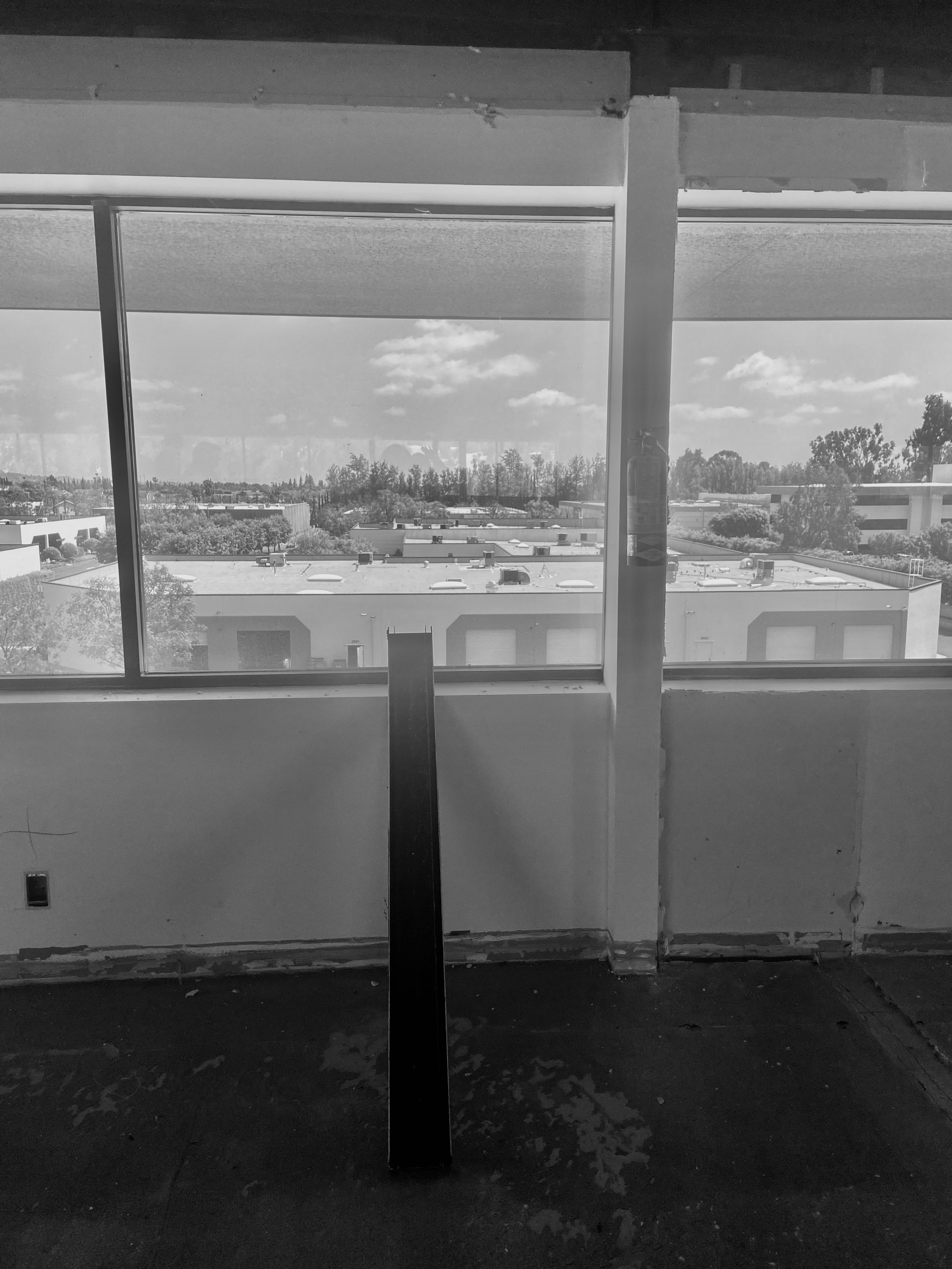 IMG_7303.jpeg