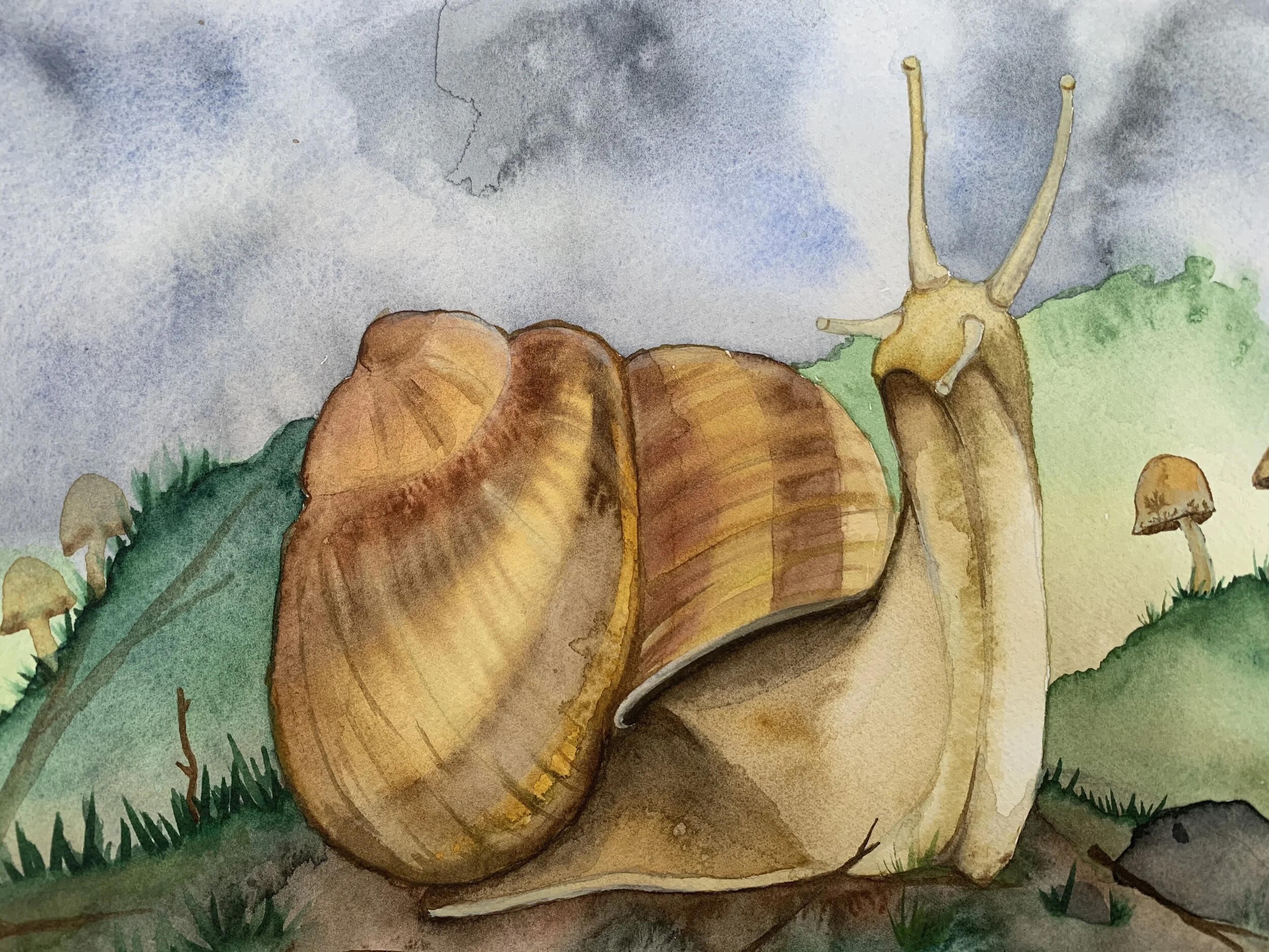 Snail