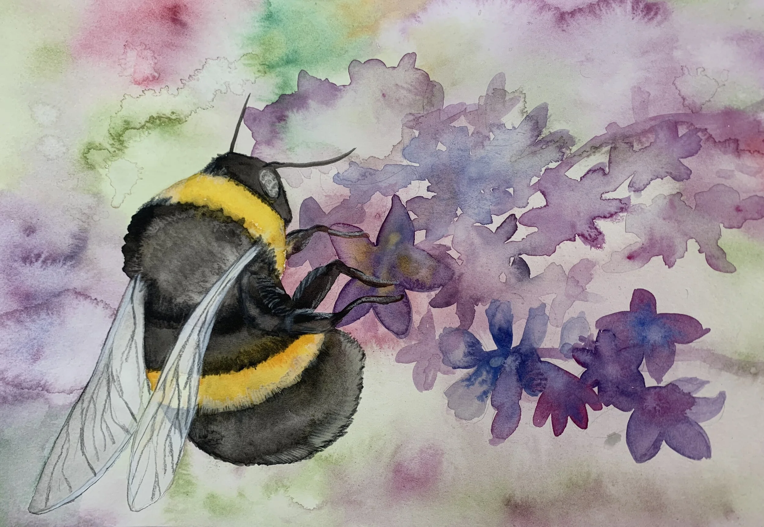 Bumble bee