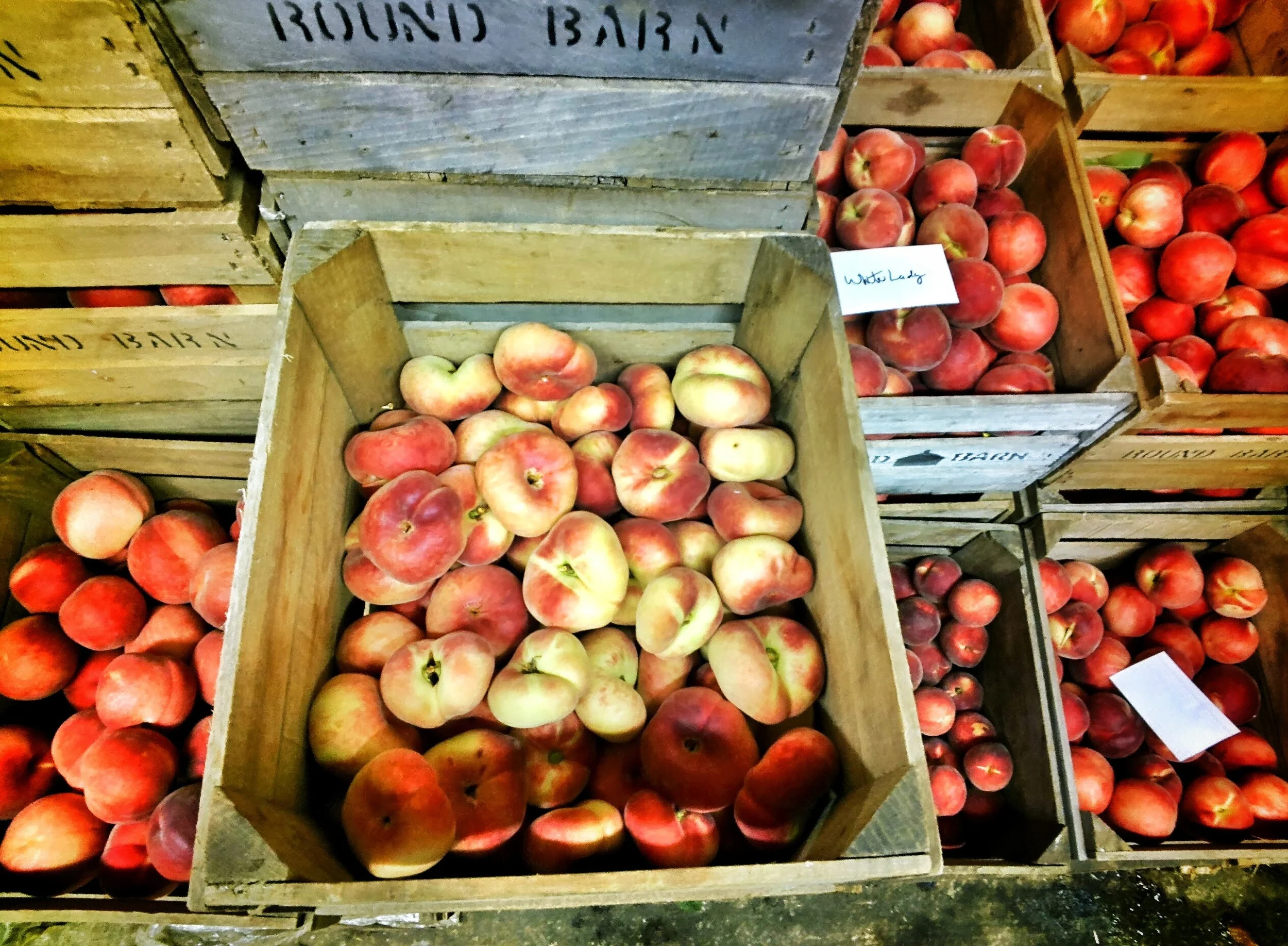 20130727_135557_229_1_1.jpg