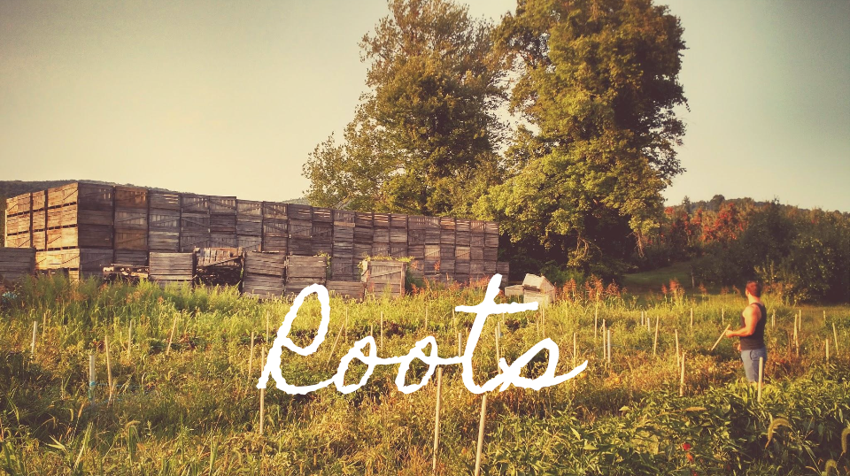 4 Roots Barn The Historic Round Barn & Farm Market
