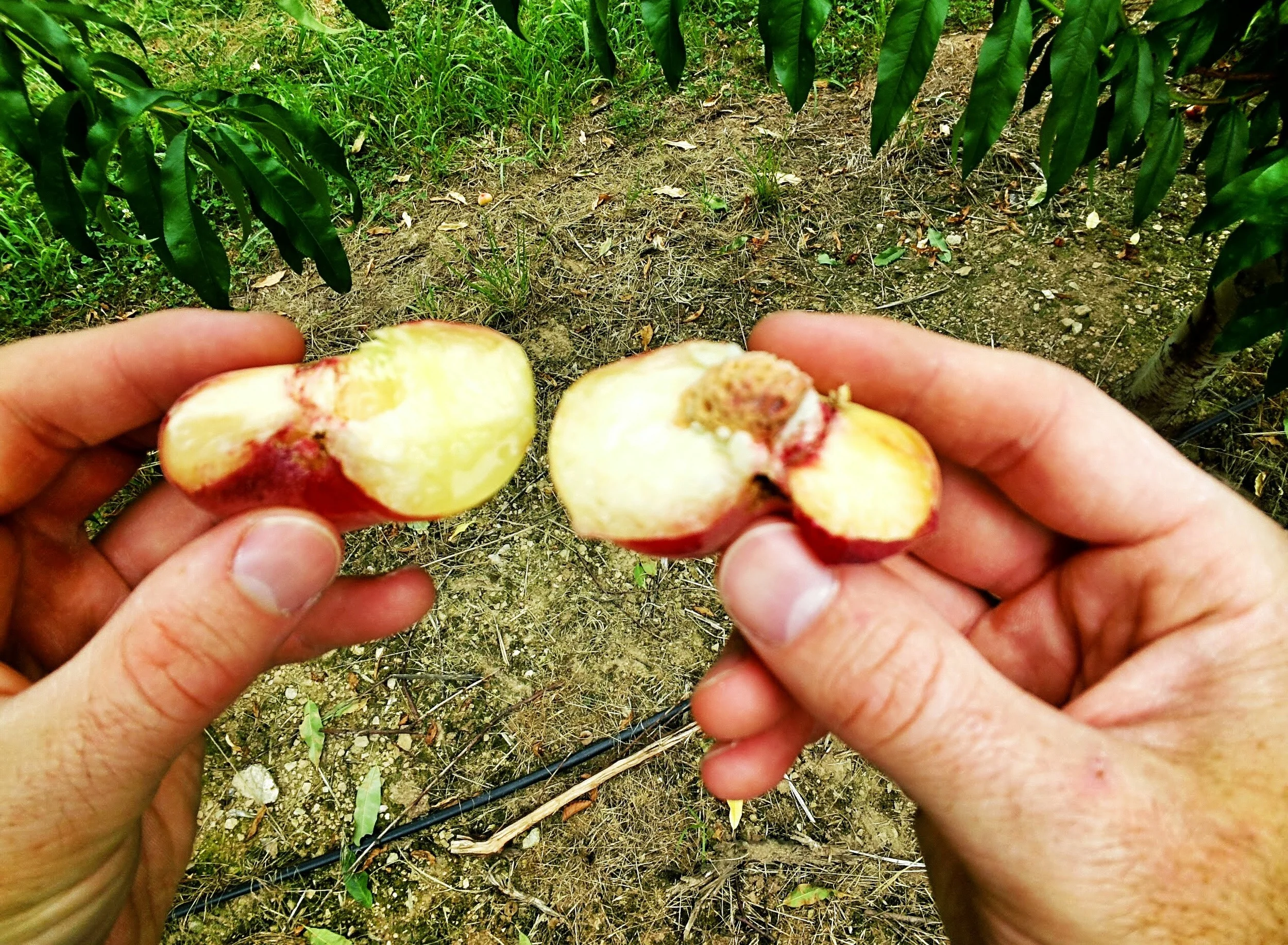 20130727_150544_680_1_1.jpg