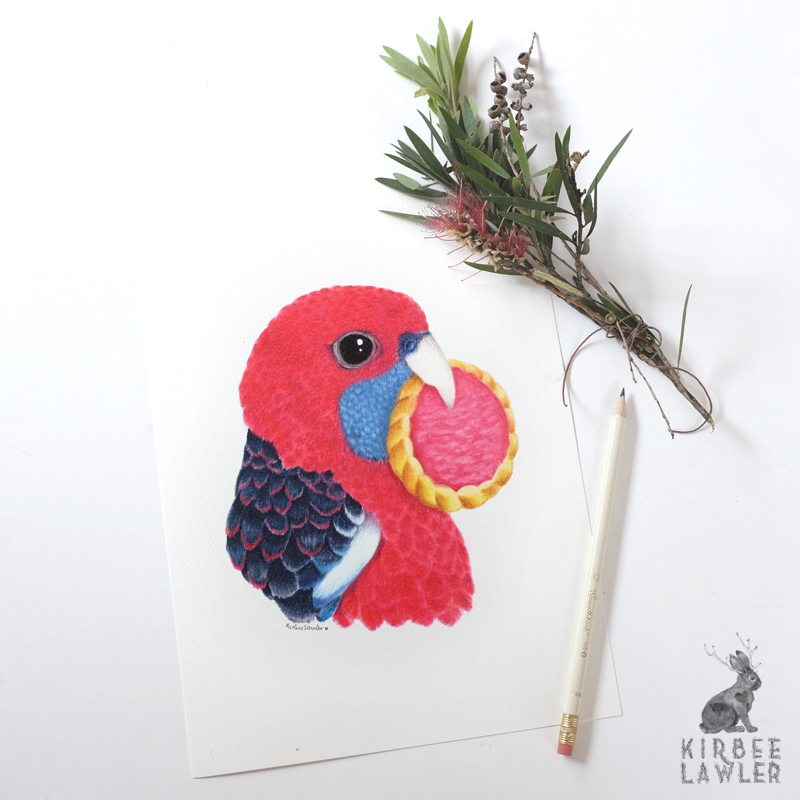 2rosella-kirbee-lawler.jpg
