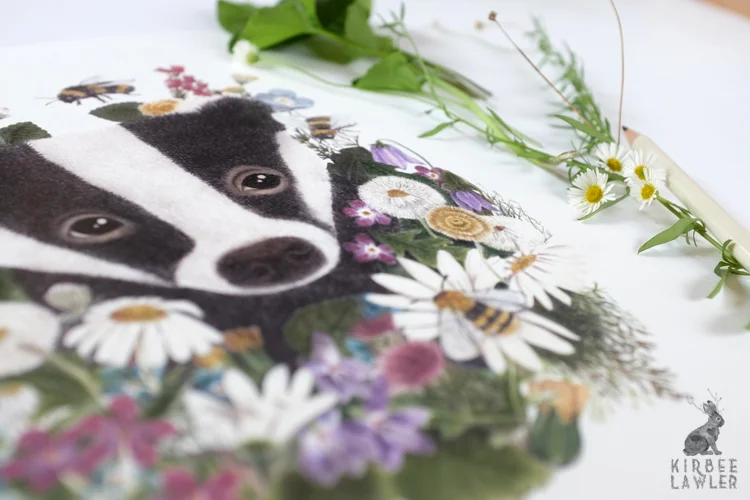 2badger in the wildflowers kirbee lawler.jpg