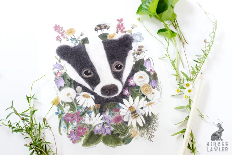 4badger in the wildflowers kirbee lawler.jpg