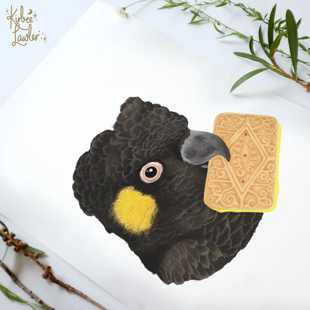 blk cockatoo.jpg