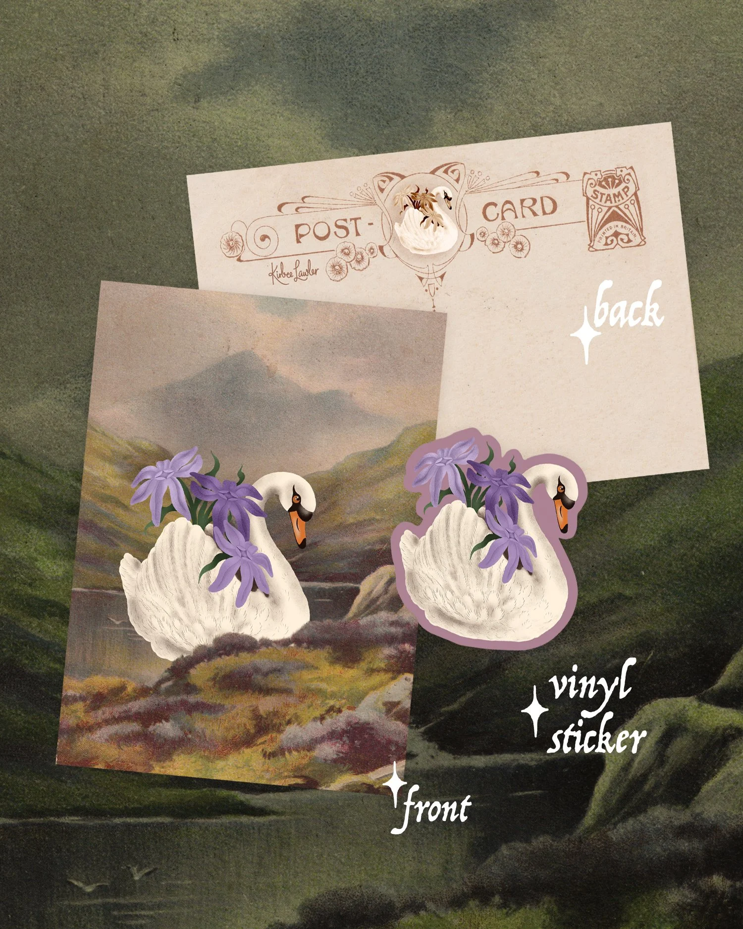 swan2.jpg