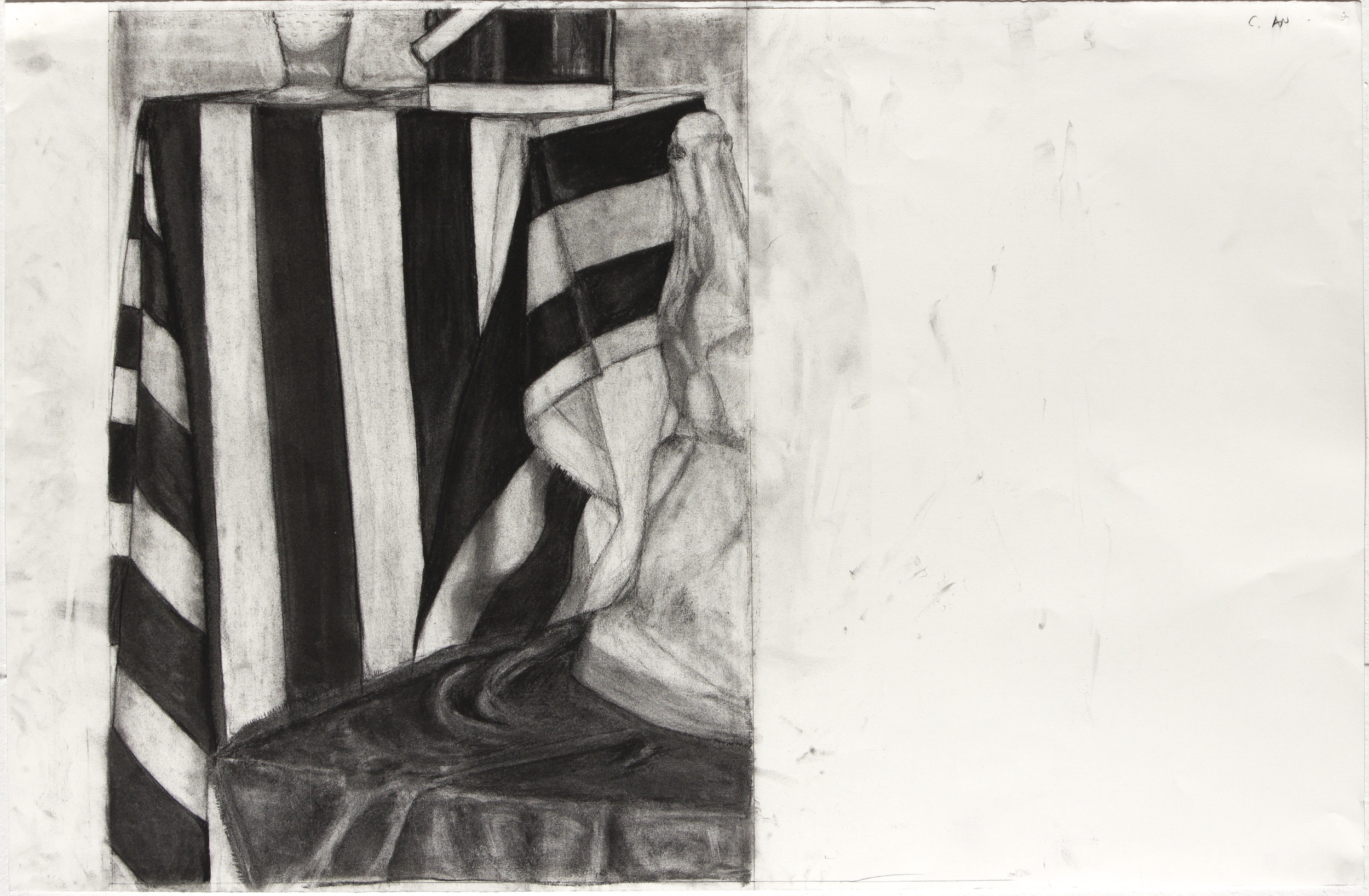 Still Life (pencil and charcoal drawing)