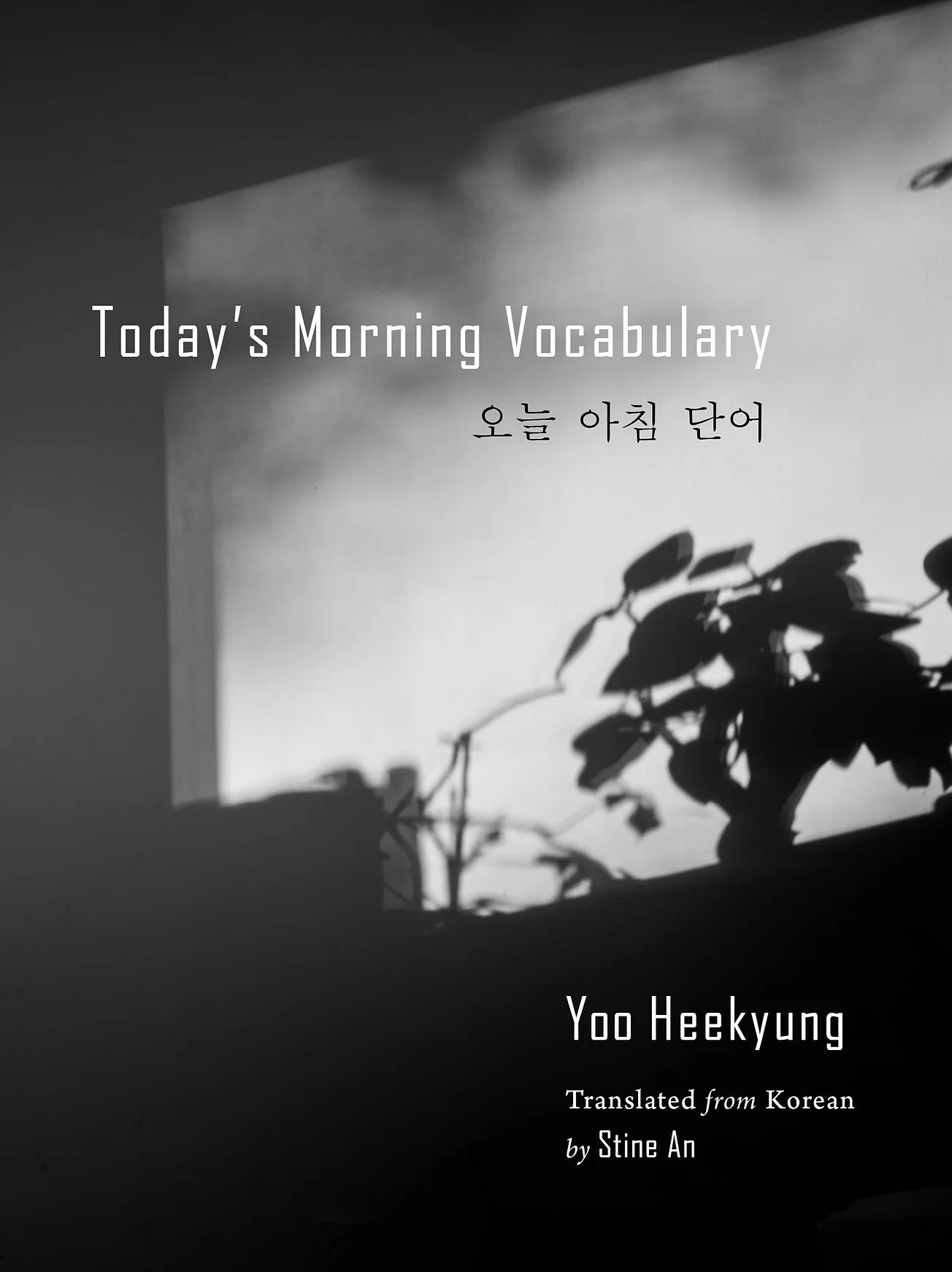 Book cover titled "Today's Morning Vocabulary" by Yoo Heekyung, translated from Korean by Stine An, with a black and white photograph of shadows of leaves and branches on a wall.