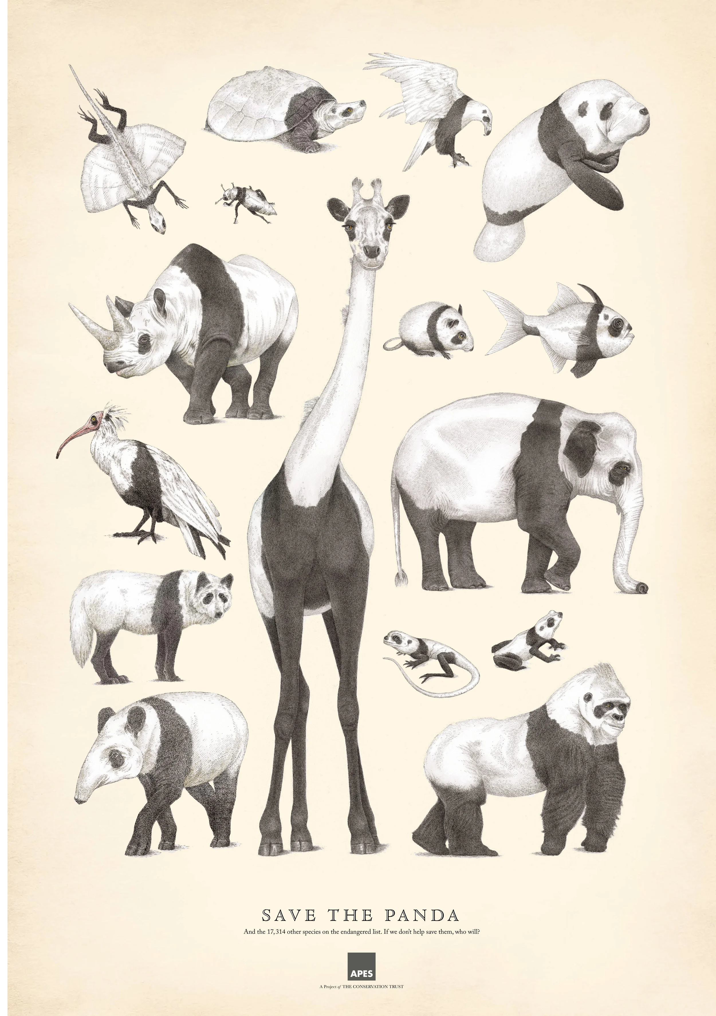 APES A project of the conservation trust