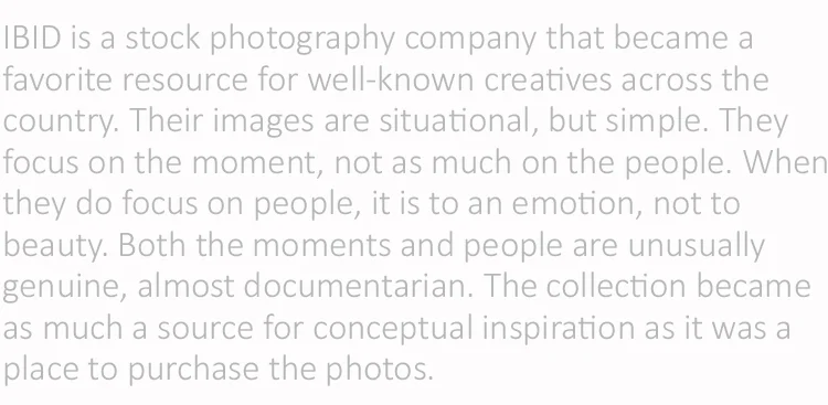 IBID campaign summary.jpg