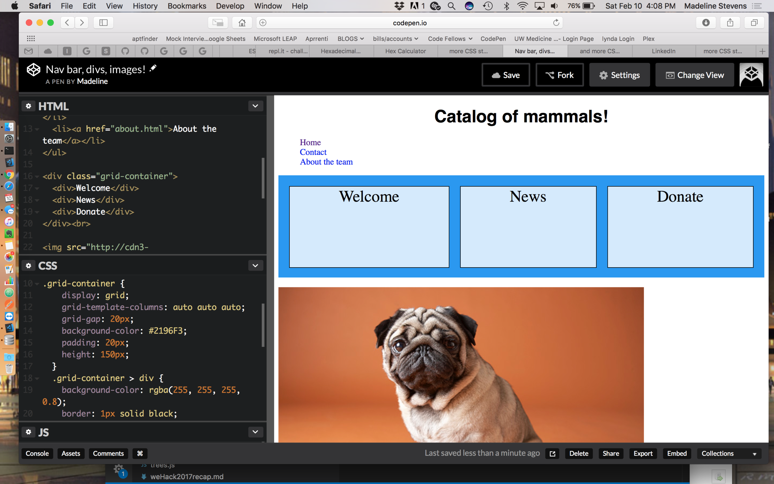Above is a screenshot of a codepen: https://codepen.io/Madeline206/pen/LQWmXr. It may take a second to load. 