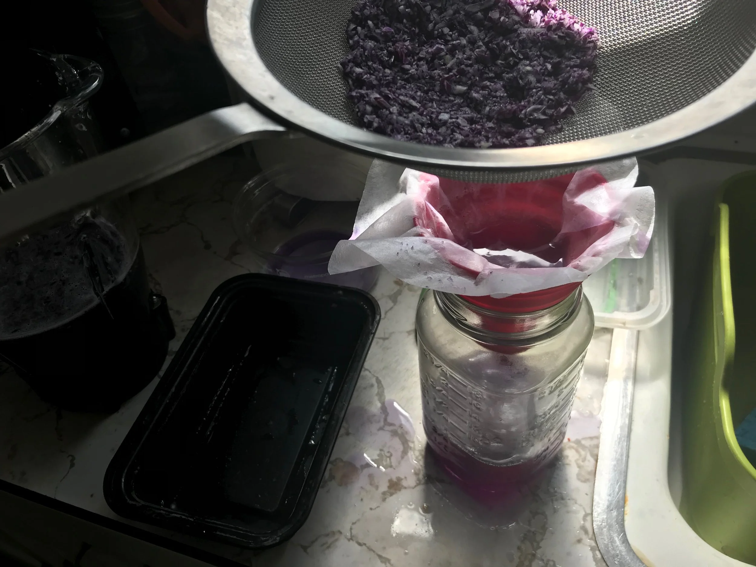 Prepping for cabbage juice lab over the weekend. 