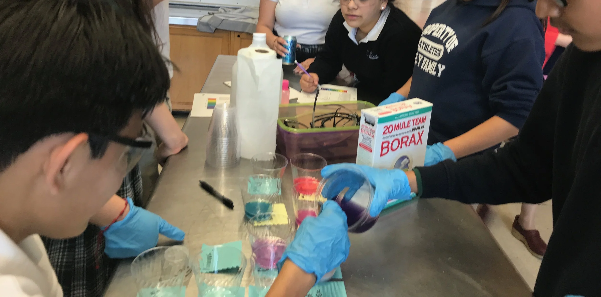 Acid/base cabbage juice indicator lab with 8th grade!