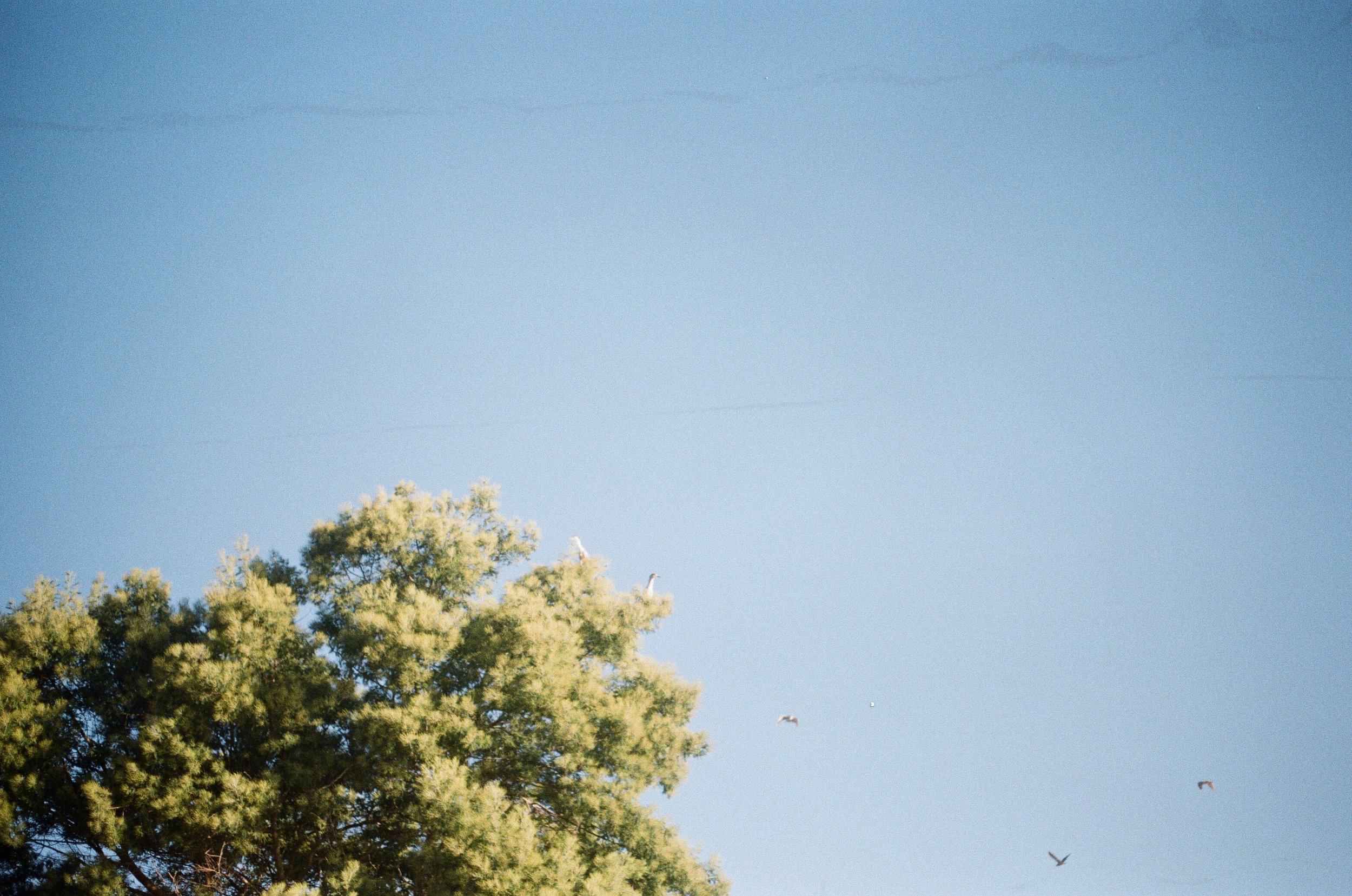 R0001_F005.jpg