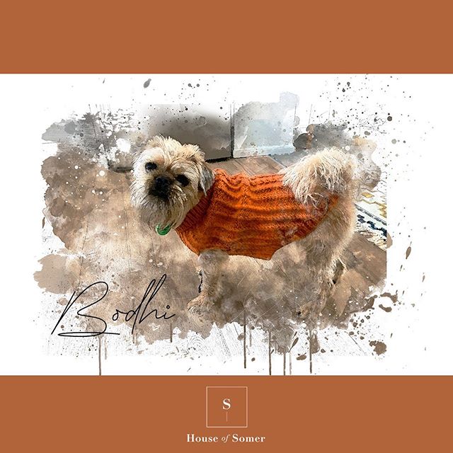 - Pet Portraits

House of Somer creates custom digital watercolour paintings directly from your photos! 📸 Send us your digital photos and we will turn them into a digital watercolour painting. We will then send your custom artwork via email as a JPE