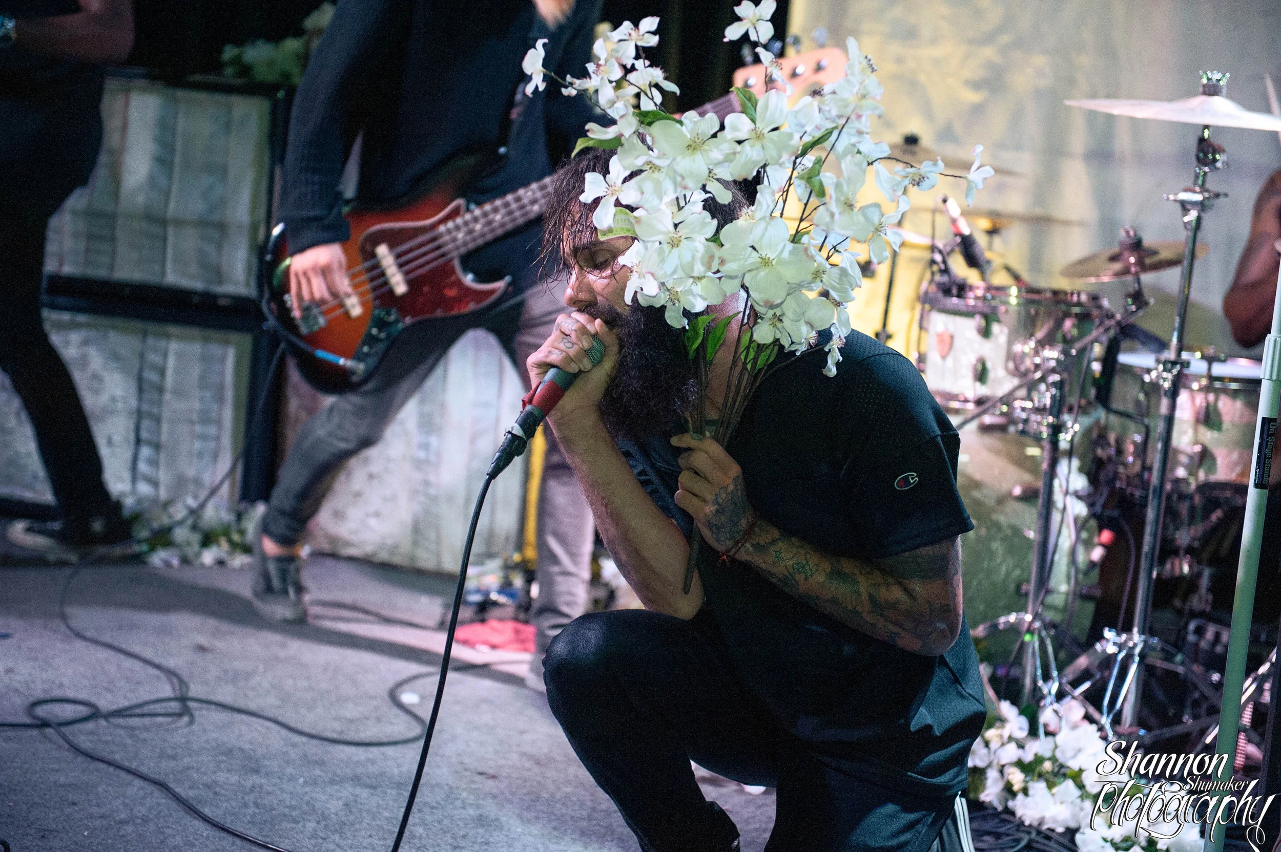 letlive.