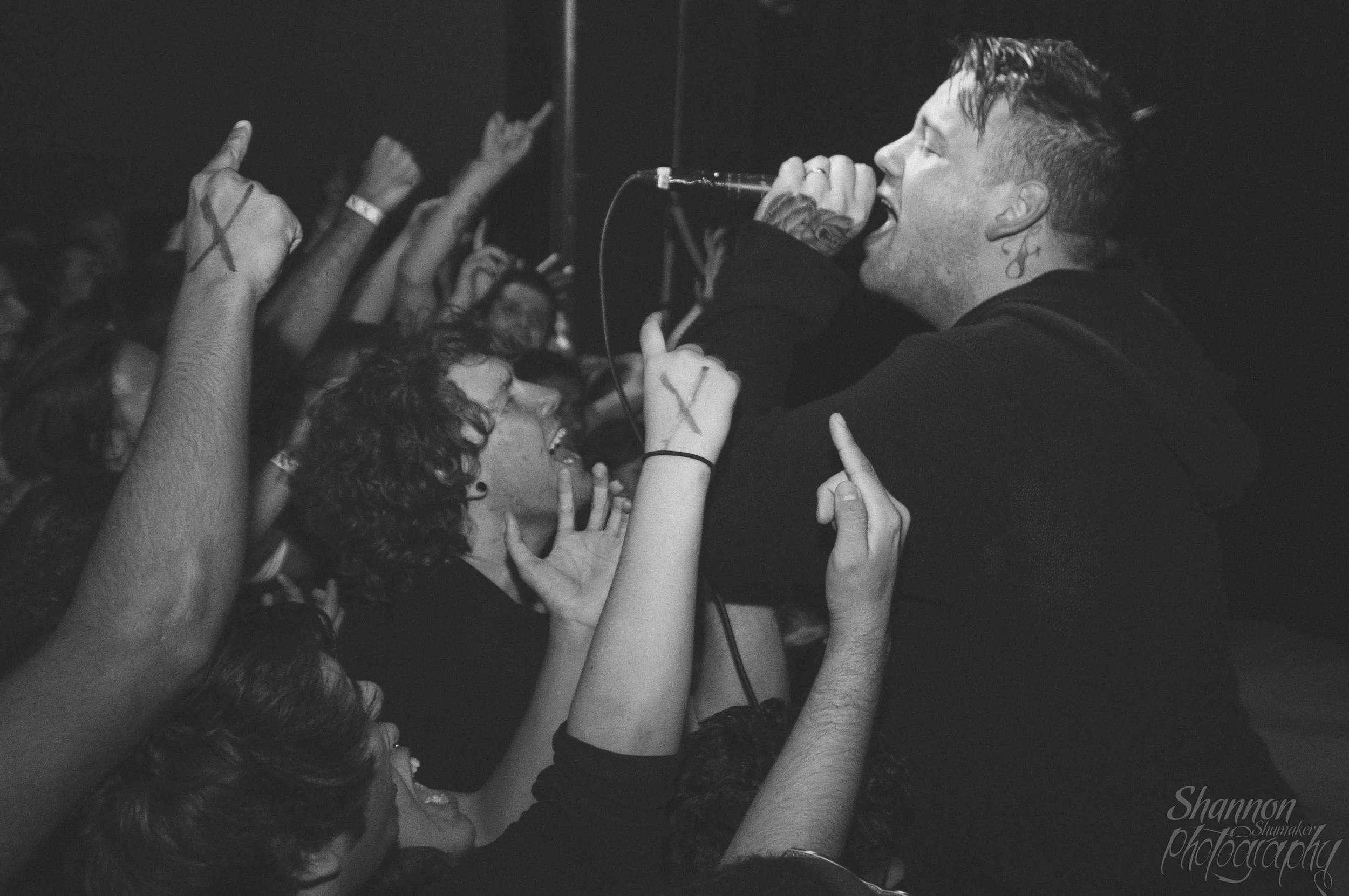 Beartooth