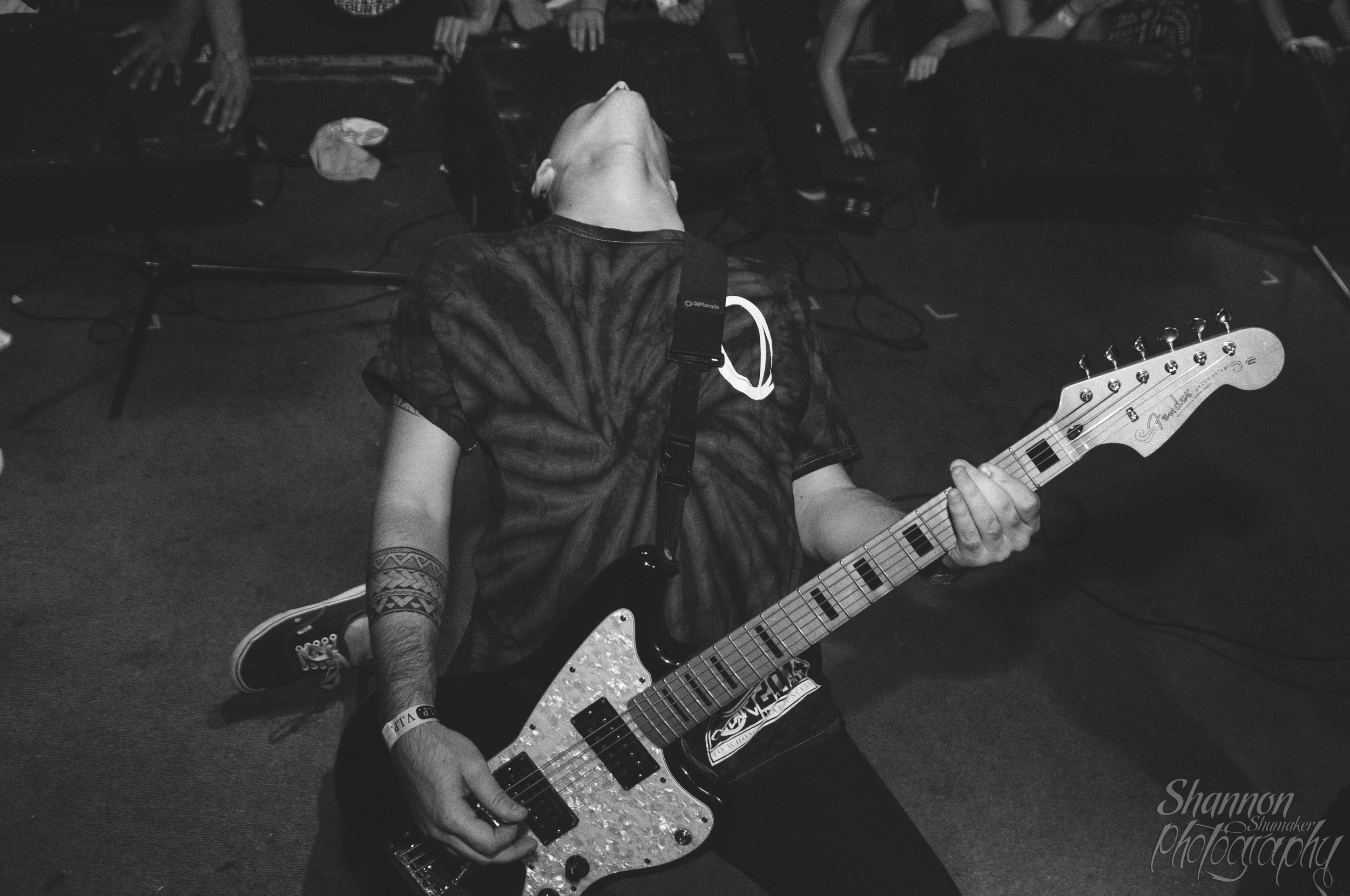 Beartooth