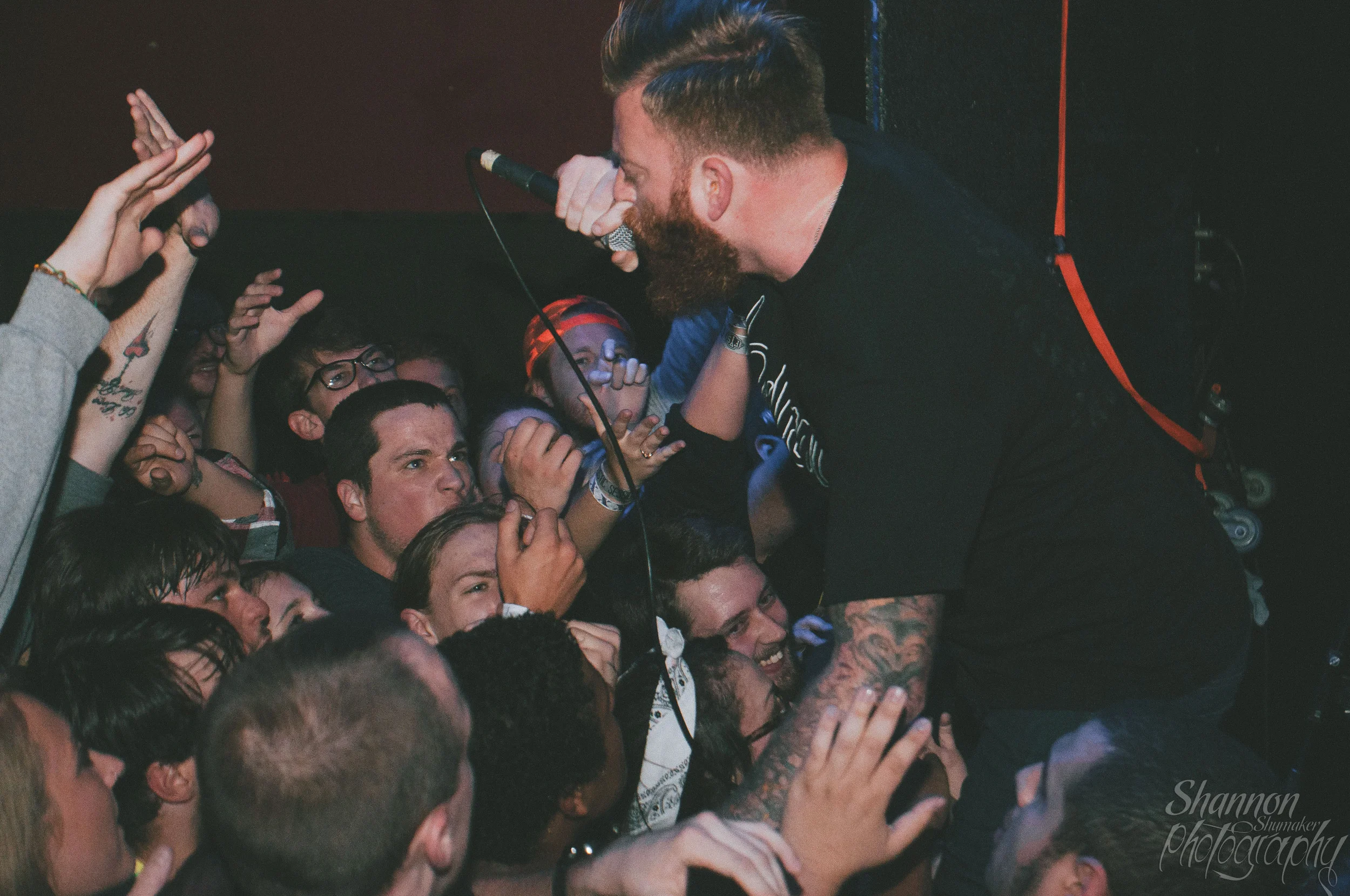 Four Year Strong