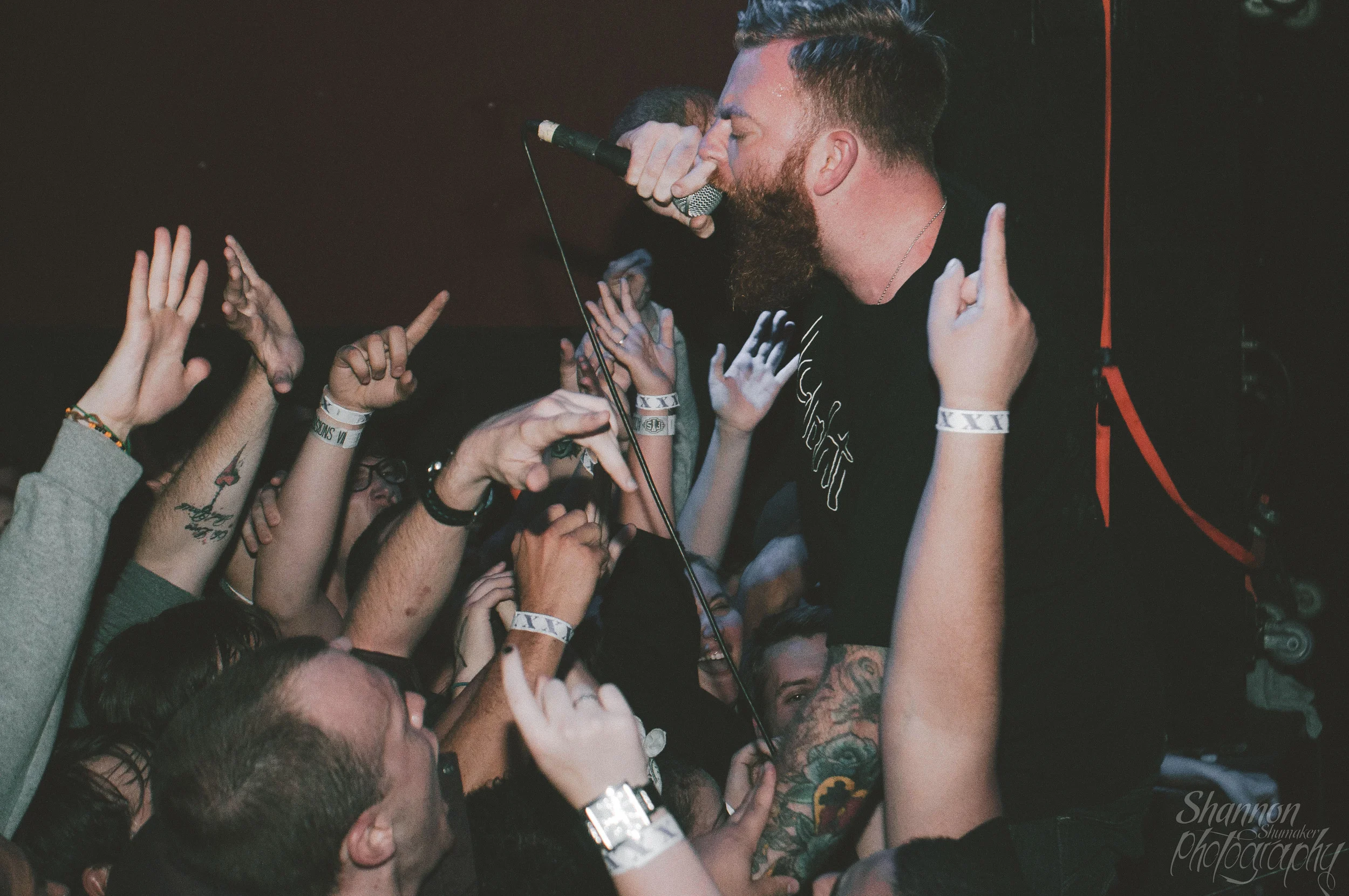 Four Year Strong
