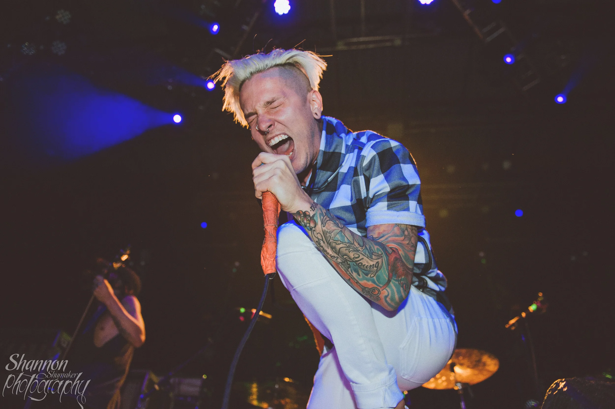 The Word Alive