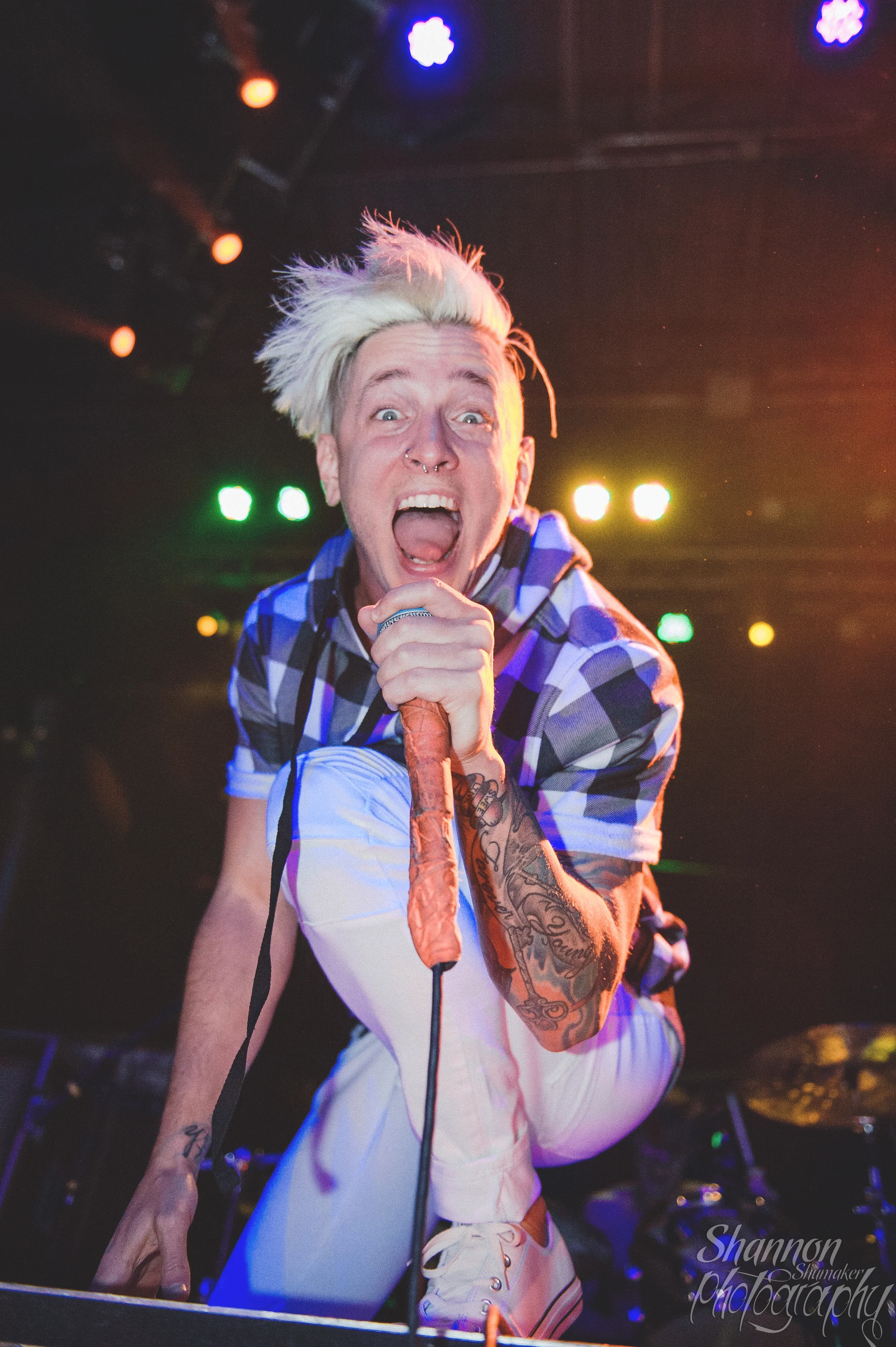 The Word Alive
